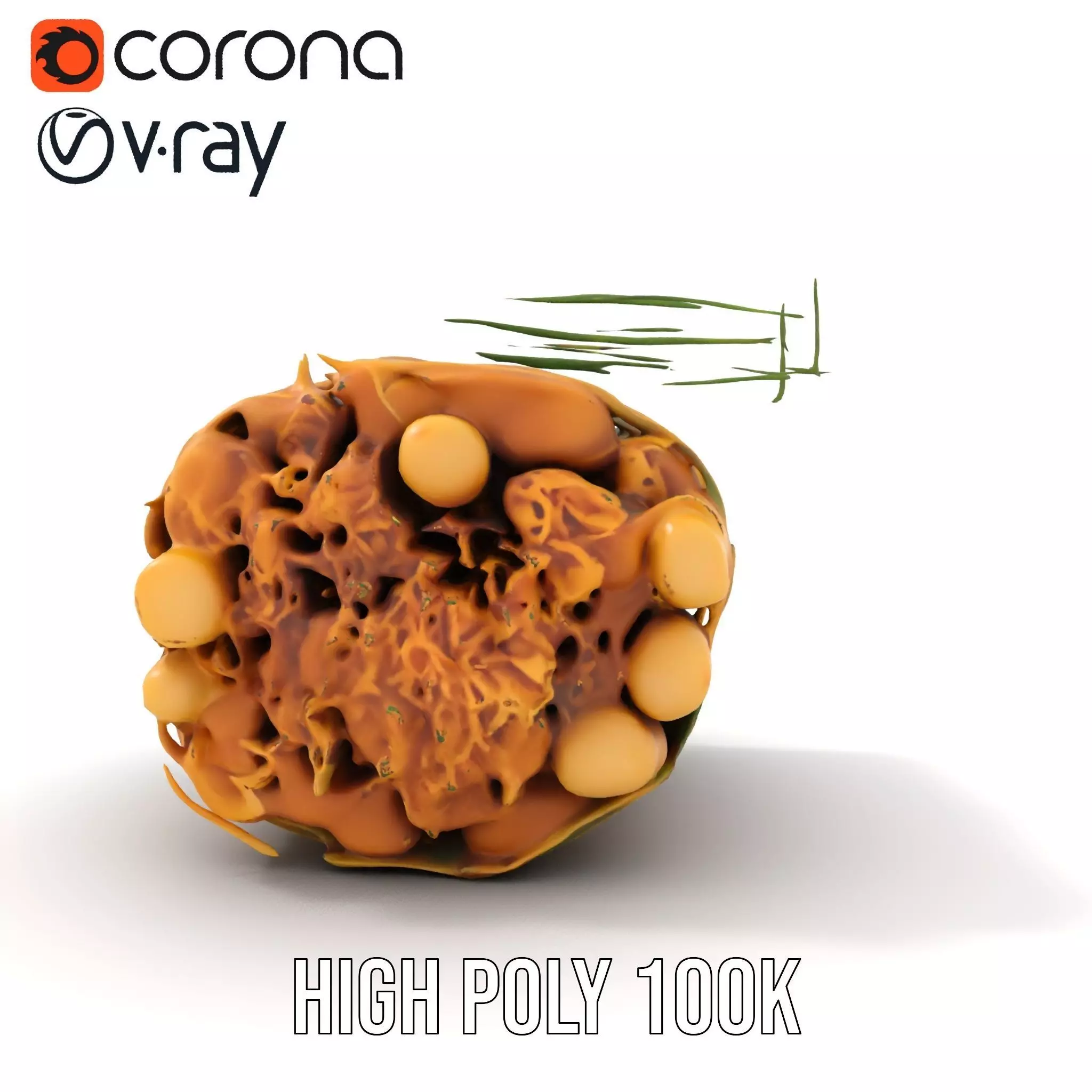 Natural Herb Bundle model pack Low-poly 3D model_23