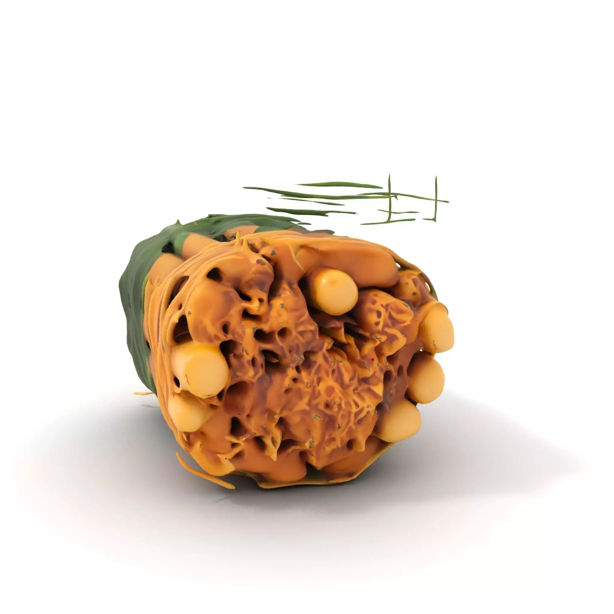 Natural Herb Bundle model pack Low-poly 3D model_0