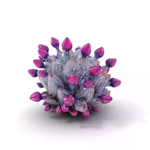 Purple Exotic Succulent model pack Low-poly 3D model