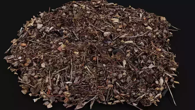 forest ground patch debris pt5 detail PBR photogrammetry
