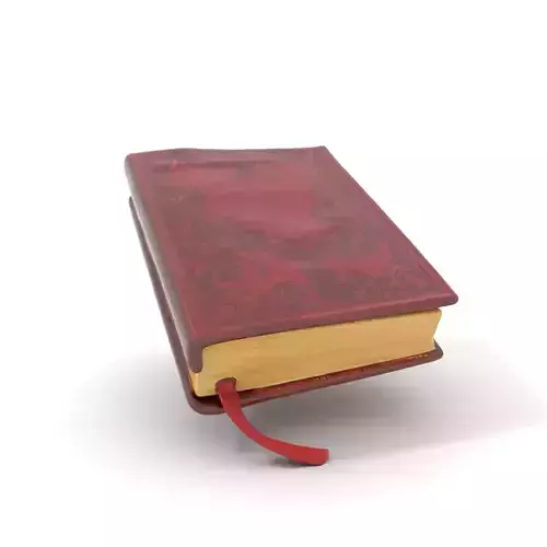 Elegant Leather Book model pack Low-poly 3D model