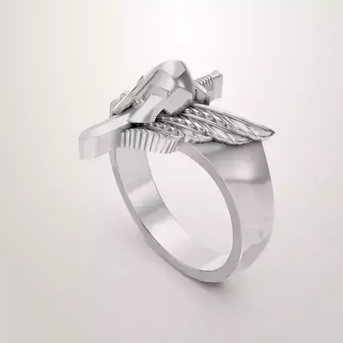 wings helmet and sword ring 