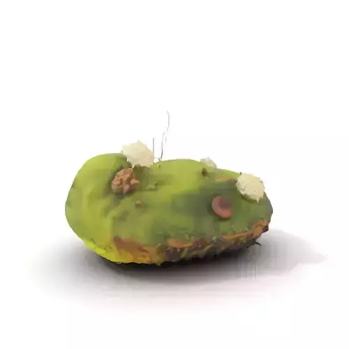 Fluffy Green Island model pack Low-poly 3D model