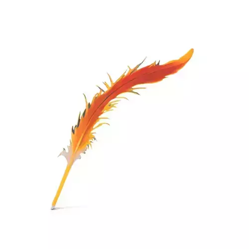 Orange Feather model pack Low-poly 3D model