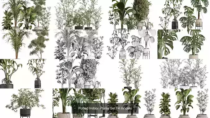 Potted Indoor Plants Set