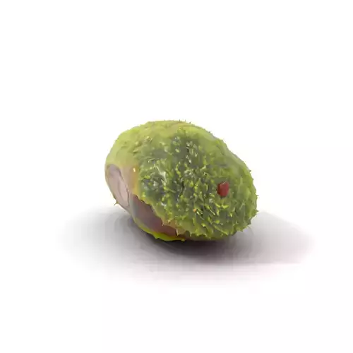 Vibrant Mossy Rock model pack