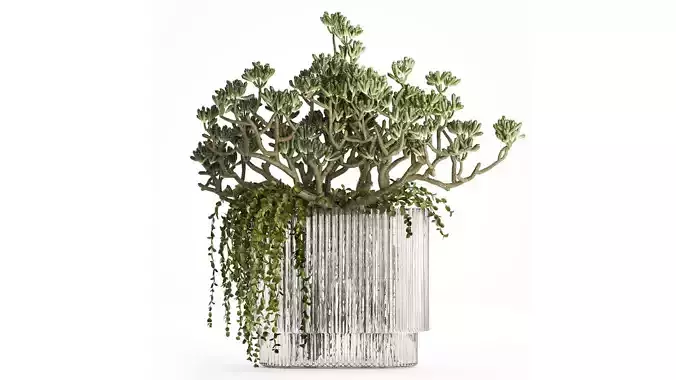 Bouquet Realistic Succulent Flowers Modern Vase 616