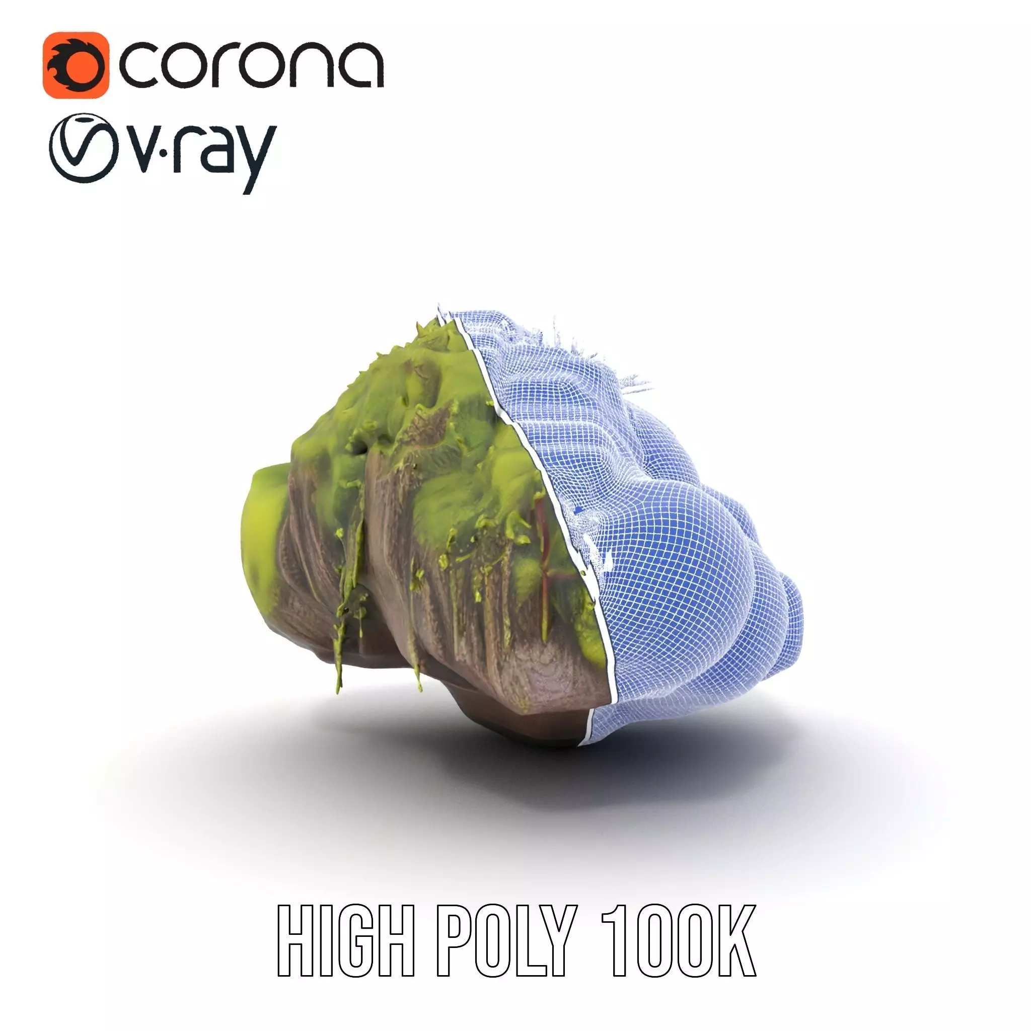 Lush Forest Moss model pack Low-poly 3D model_34
