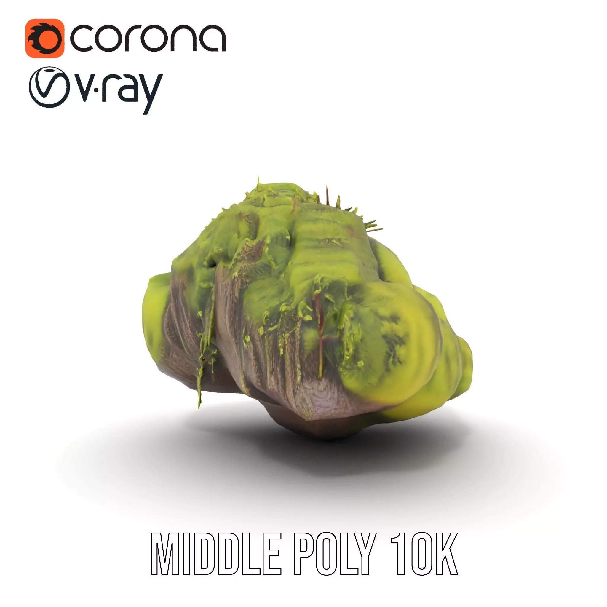 Lush Forest Moss model pack Low-poly 3D model_16