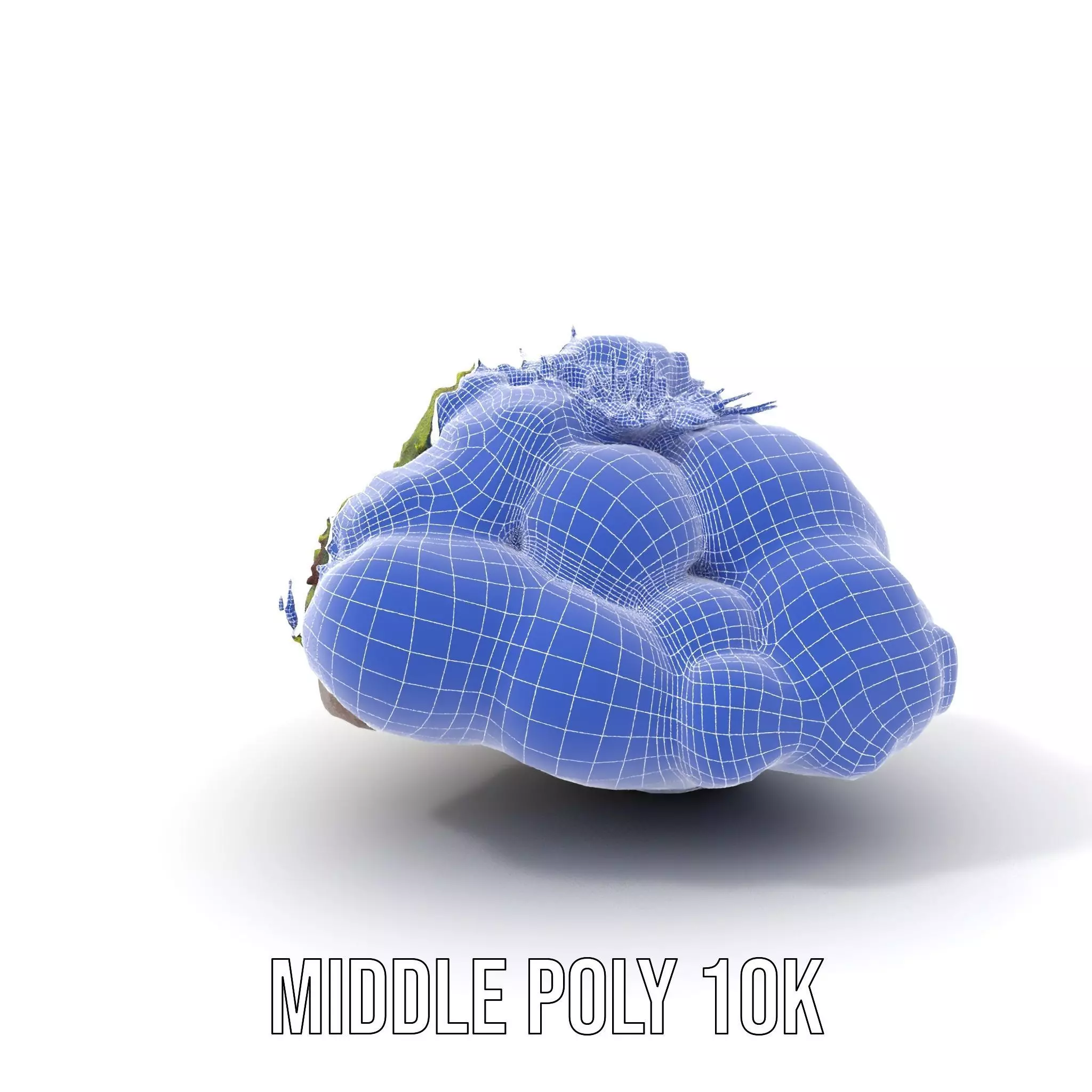 Lush Forest Moss model pack Low-poly 3D model_6