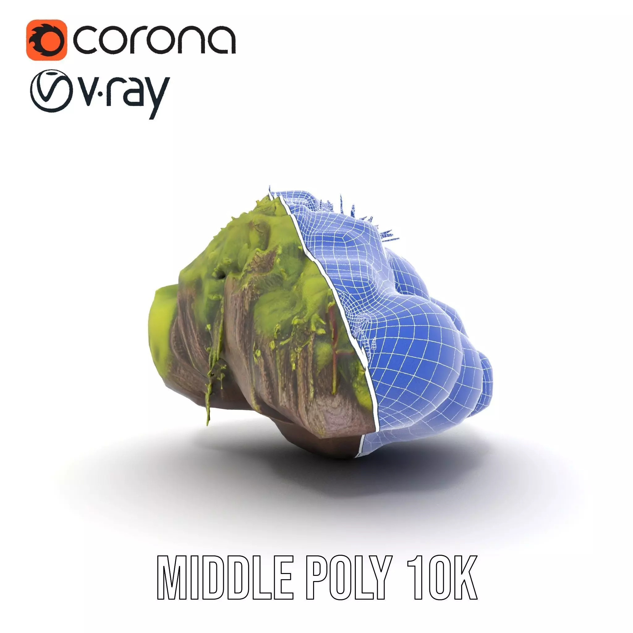 Lush Forest Moss model pack Low-poly 3D model_30