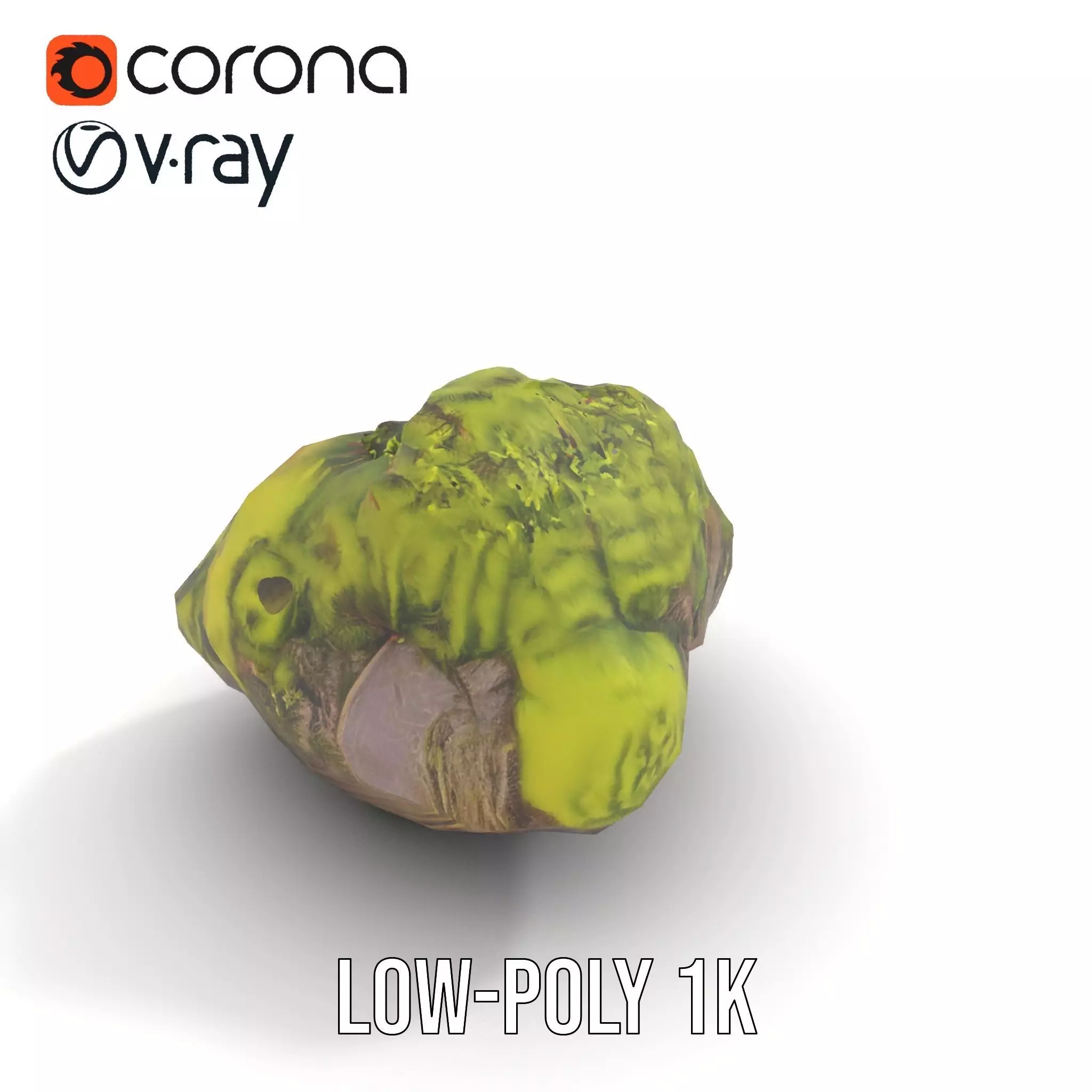 Lush Forest Moss model pack Low-poly 3D model_9