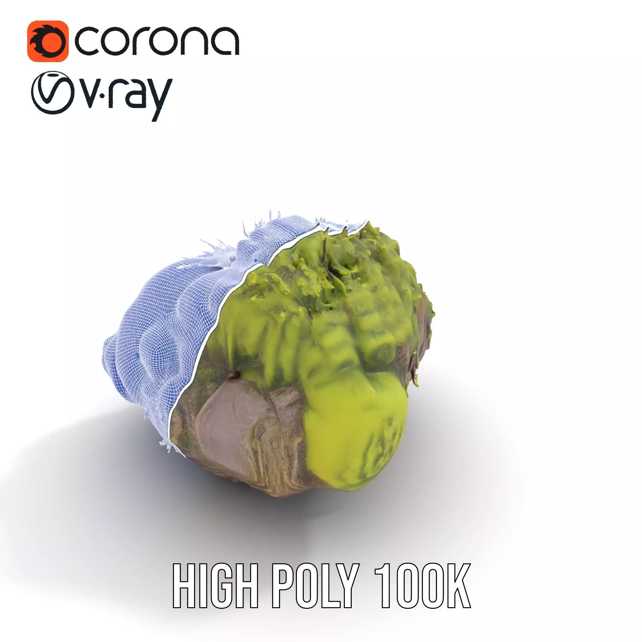 Lush Forest Moss model pack Low-poly 3D model_20