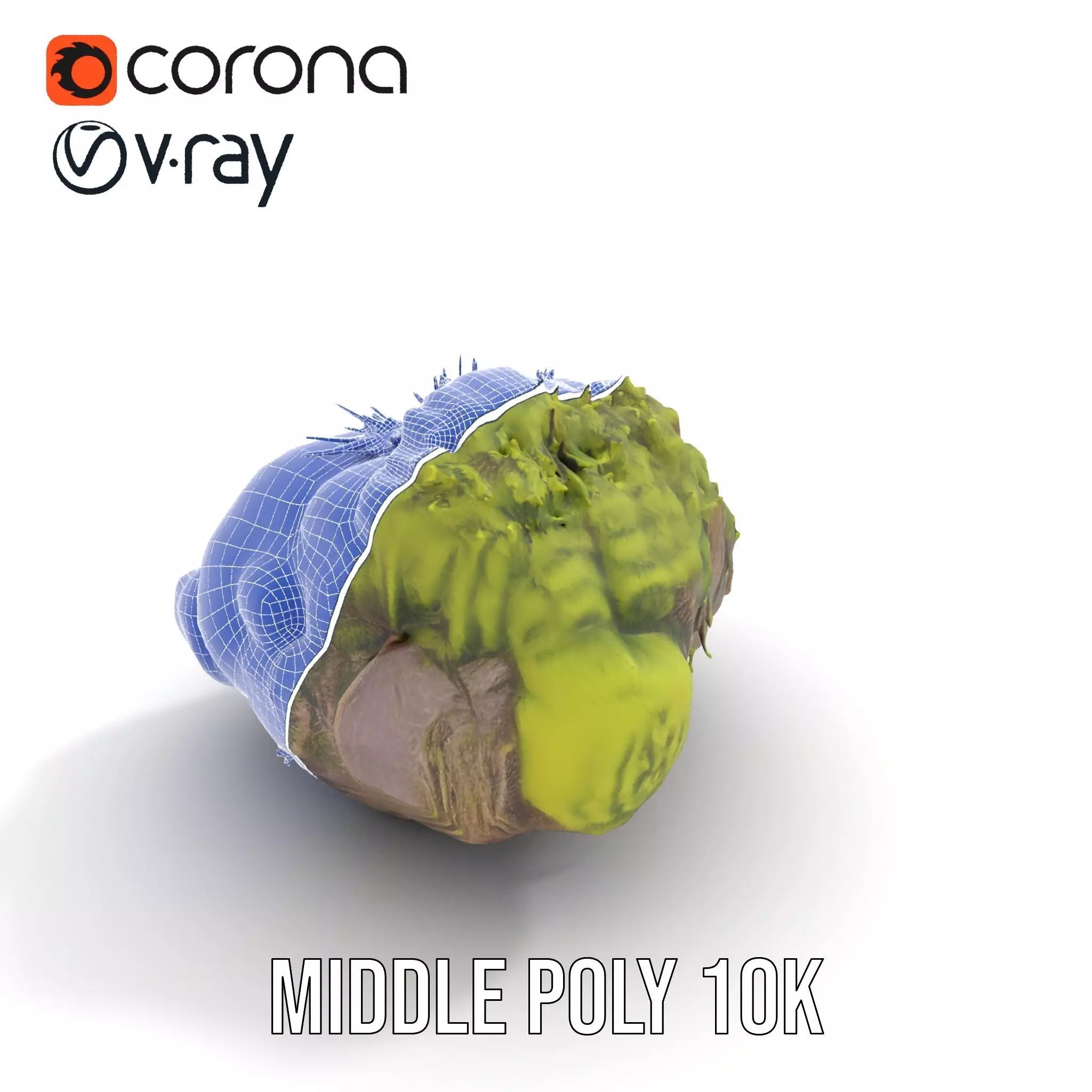 Lush Forest Moss model pack Low-poly 3D model_21