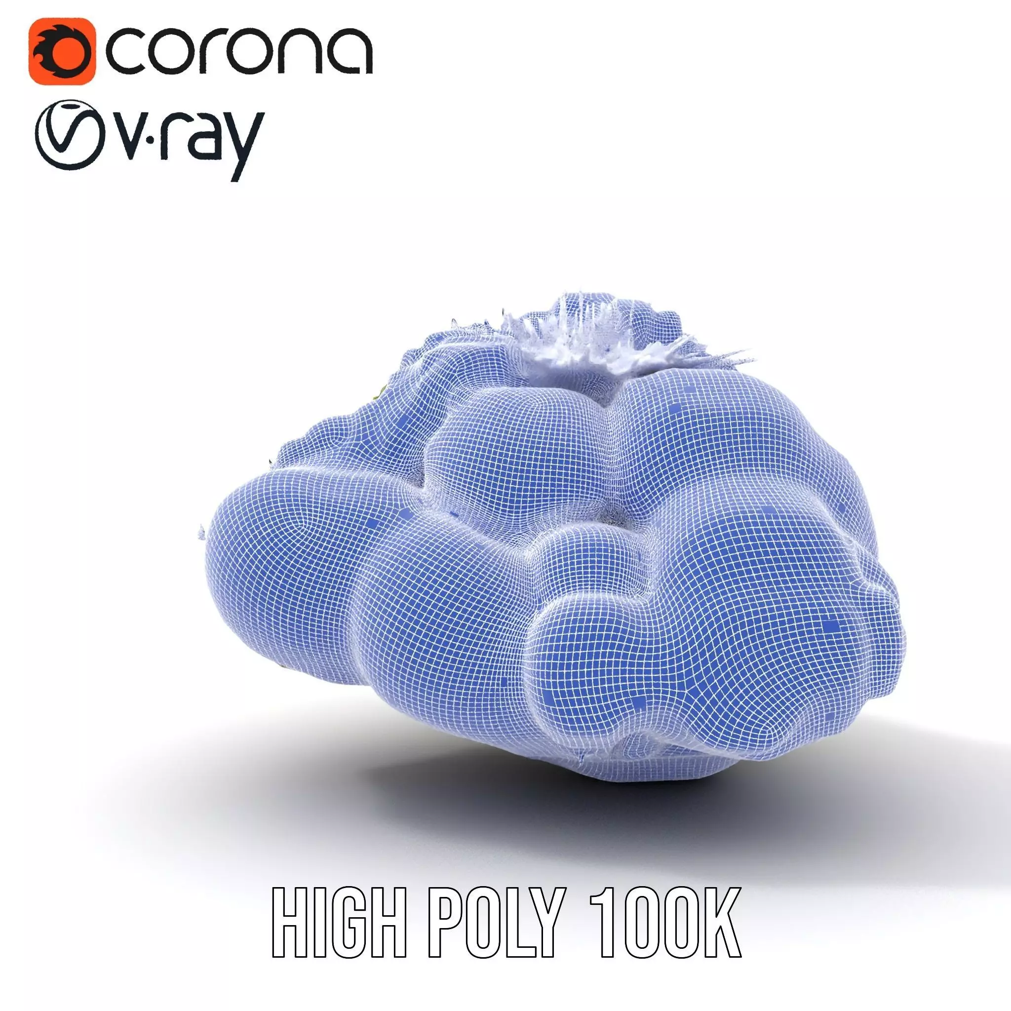 Lush Forest Moss model pack Low-poly 3D model_33