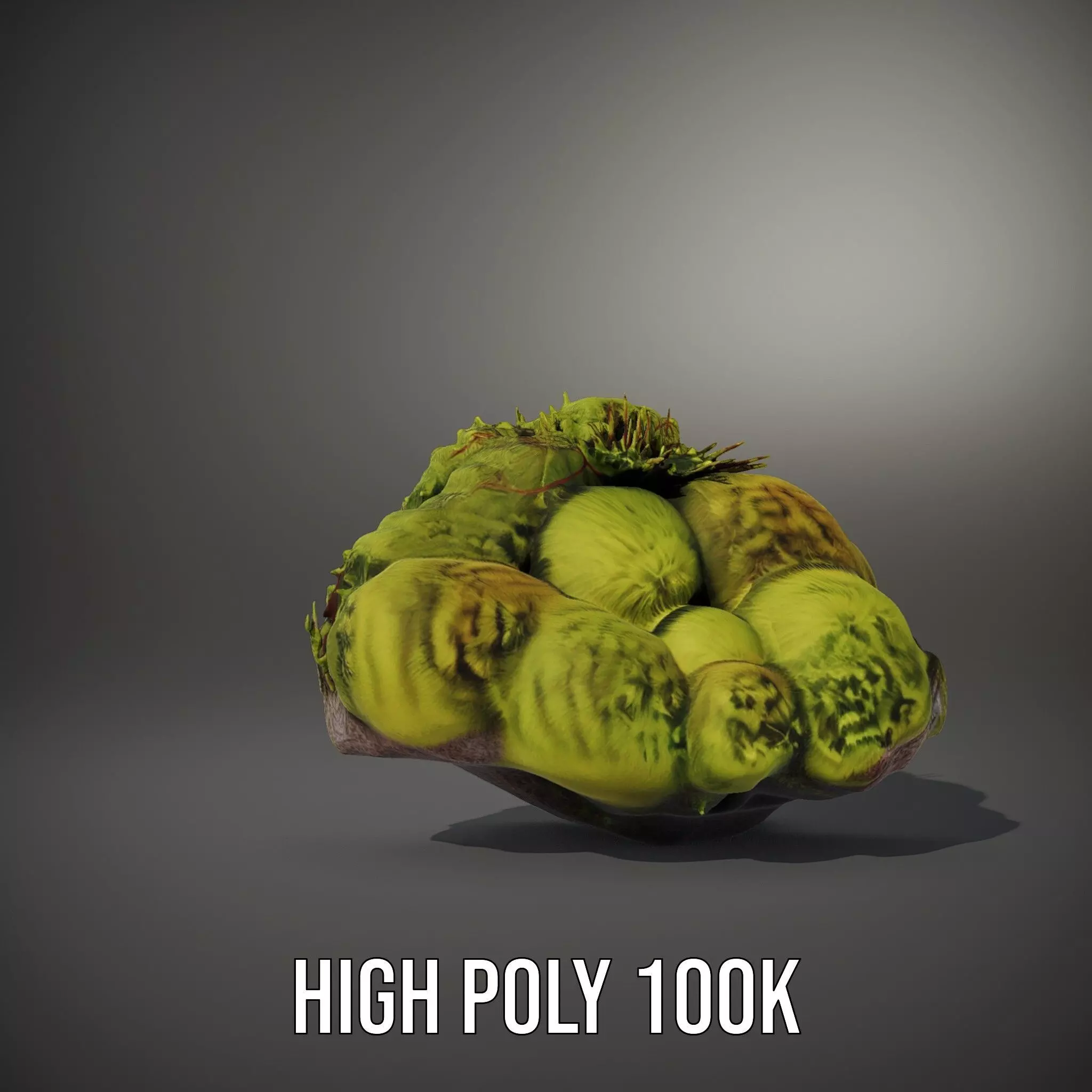 Lush Forest Moss model pack Low-poly 3D model_10