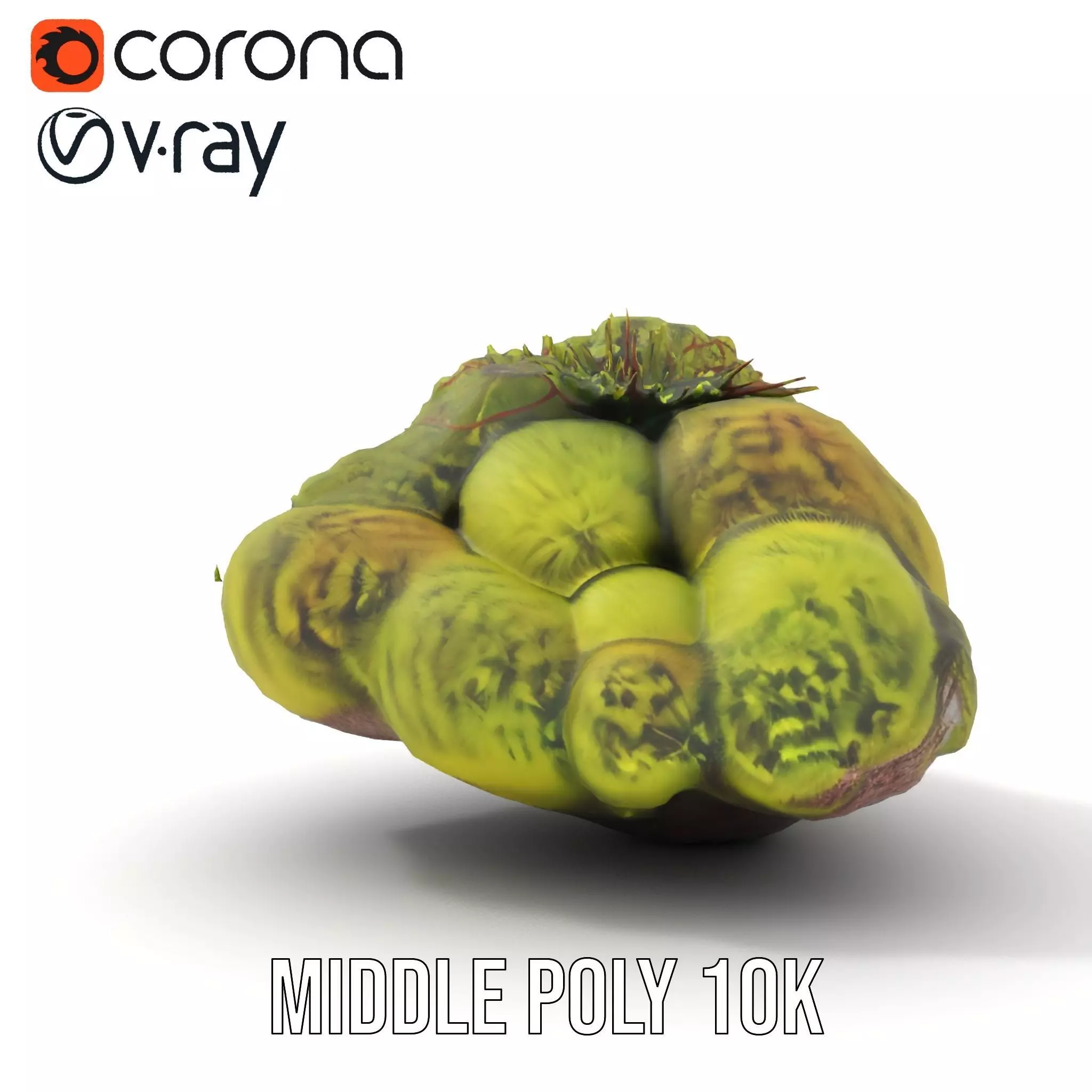 Lush Forest Moss model pack Low-poly 3D model_11