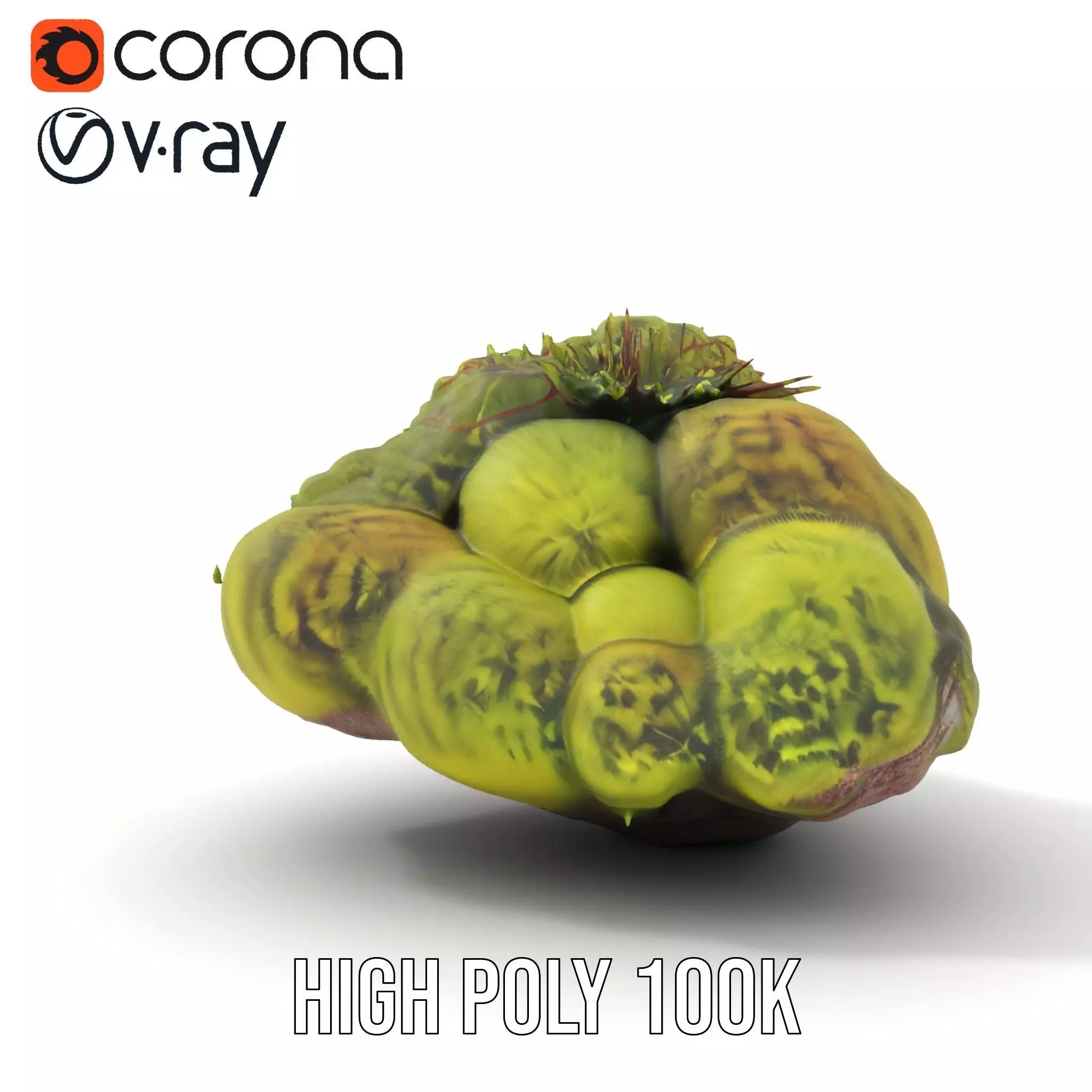 Lush Forest Moss model pack Low-poly 3D model_15