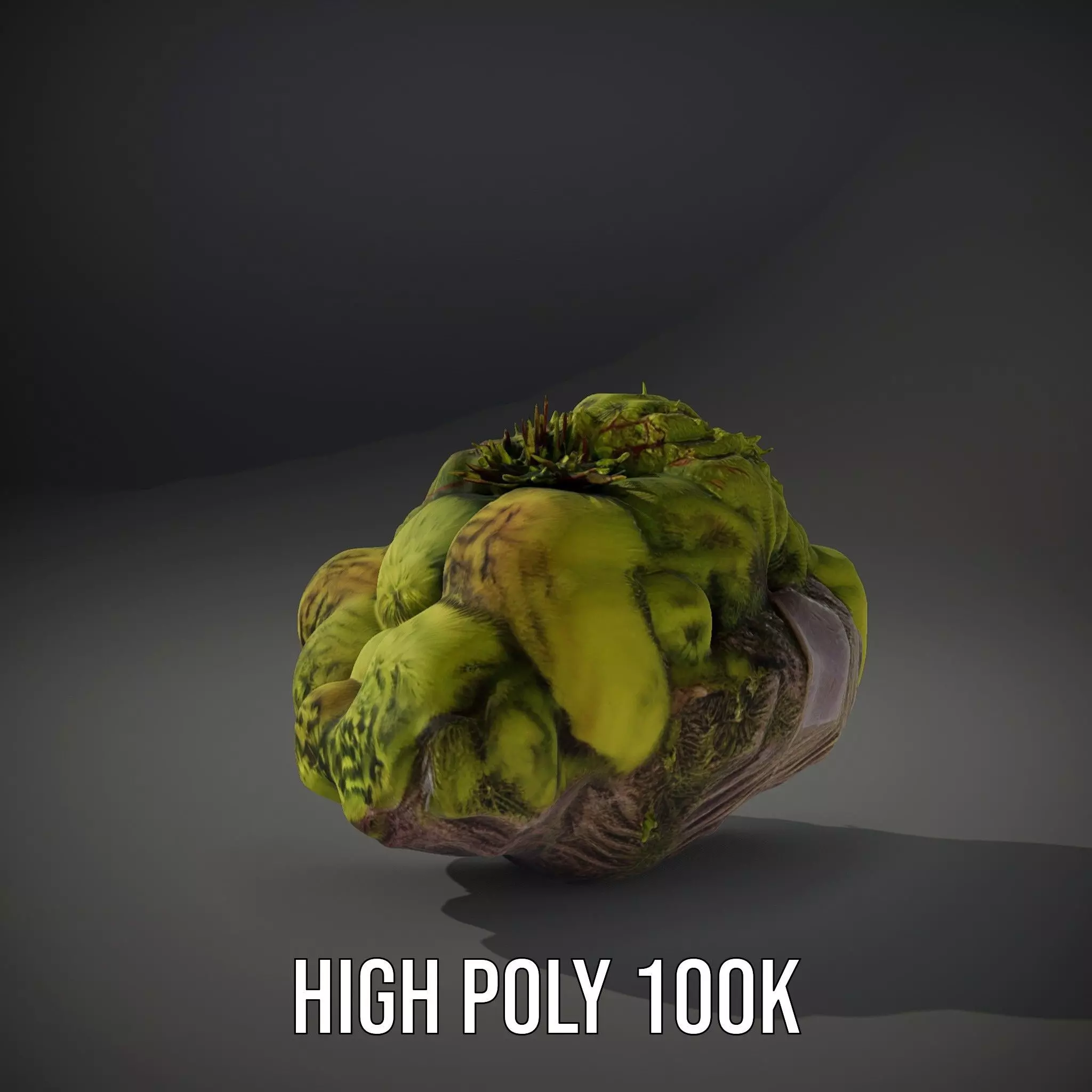 Lush Forest Moss model pack Low-poly 3D model_8