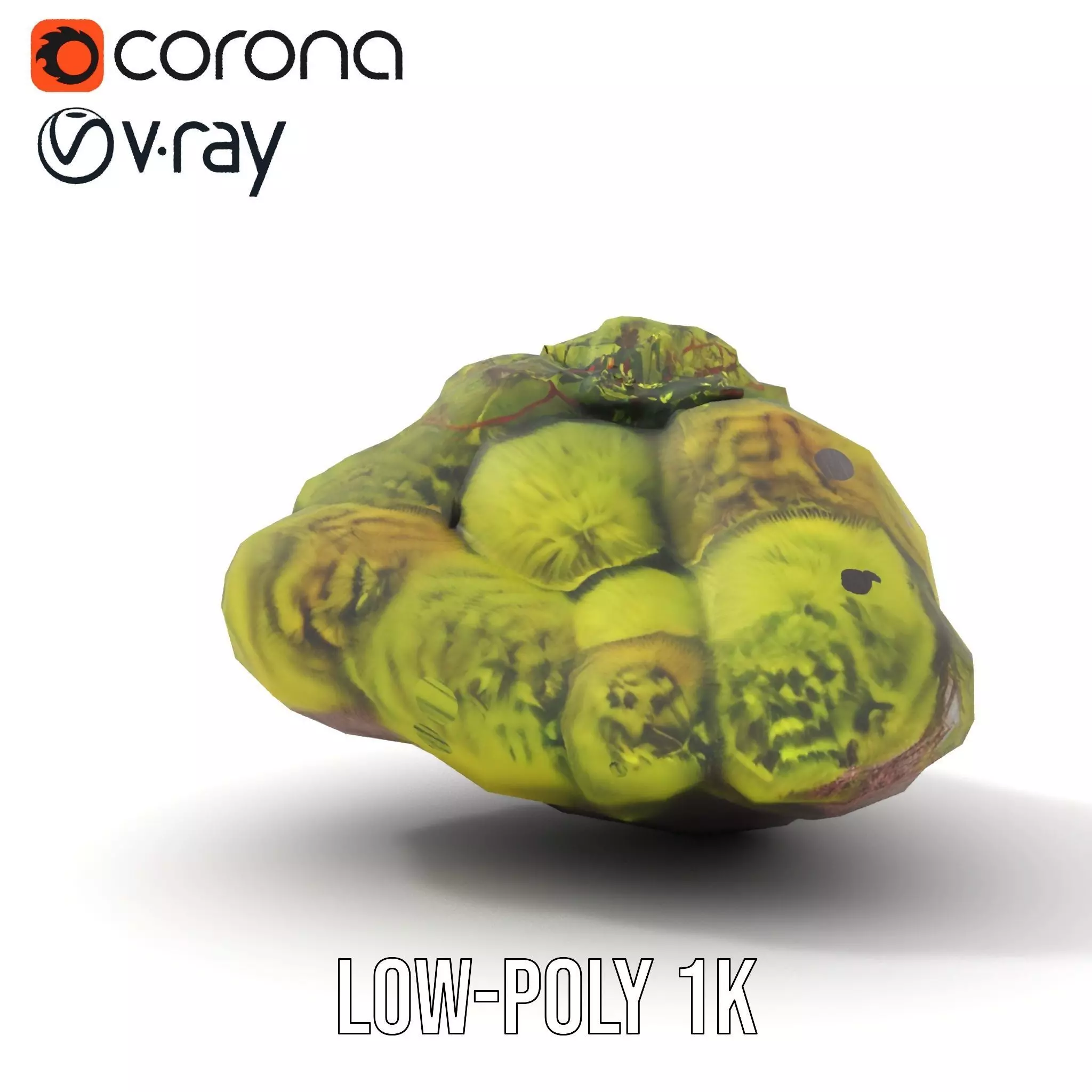 Lush Forest Moss model pack Low-poly 3D model_14