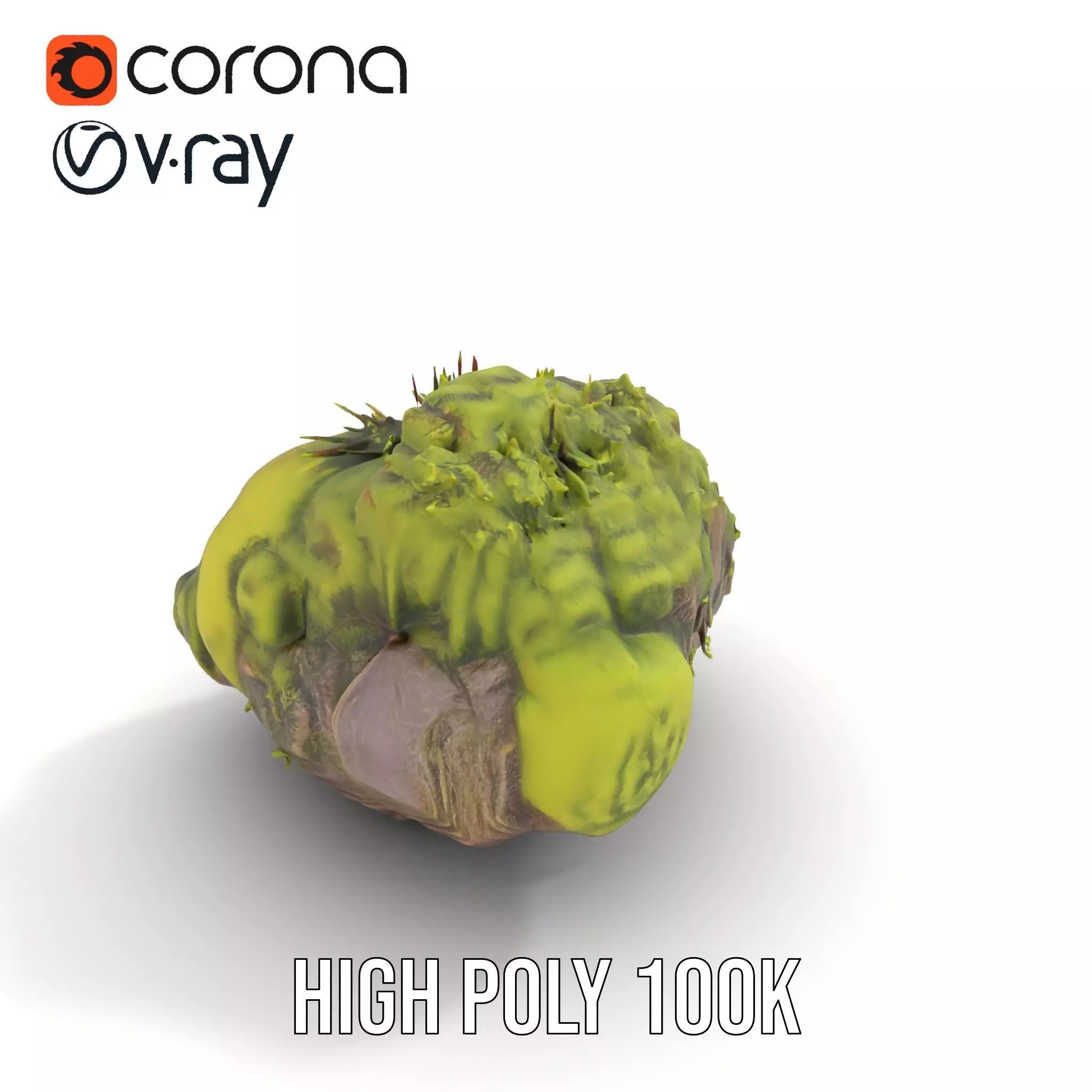 Lush Forest Moss model pack Low-poly 3D model_26
