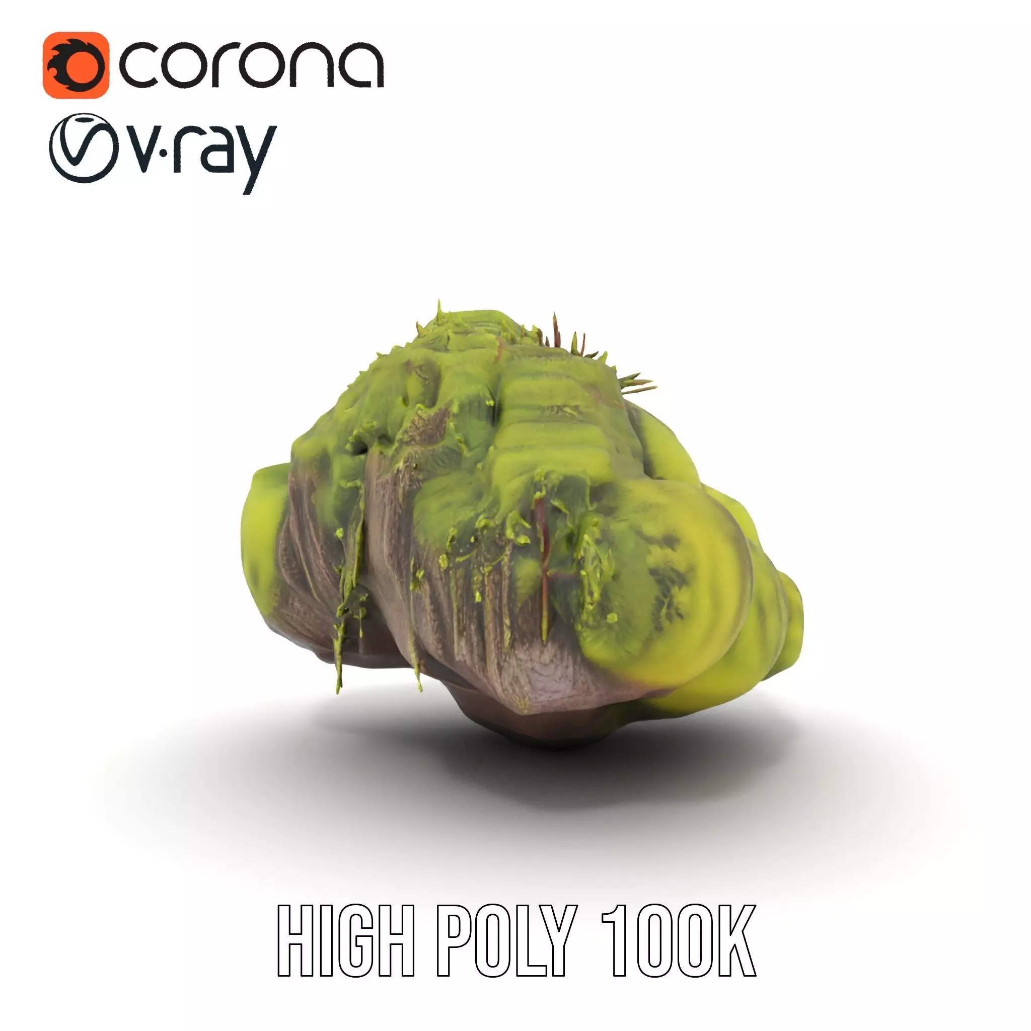 Lush Forest Moss model pack Low-poly 3D model_29