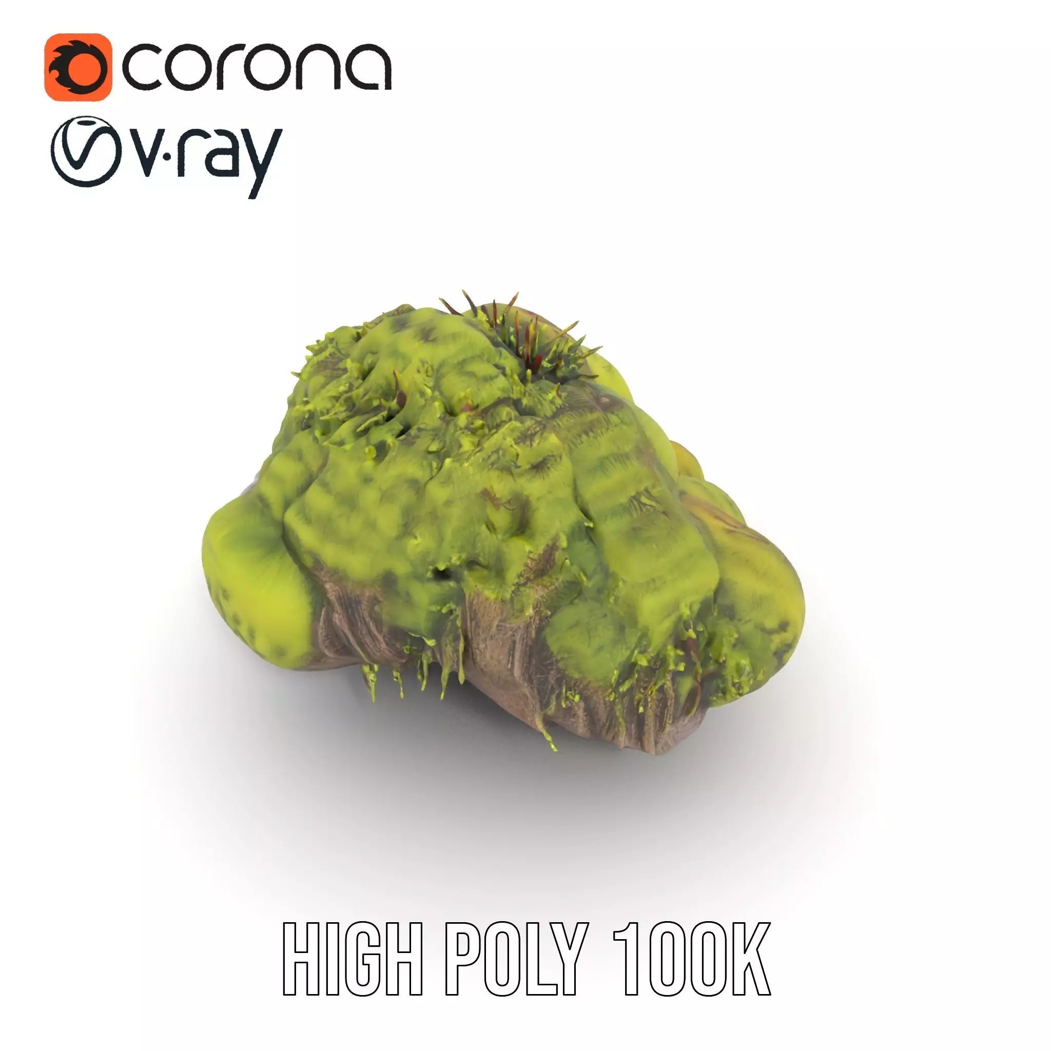 Lush Forest Moss model pack Low-poly 3D model_23