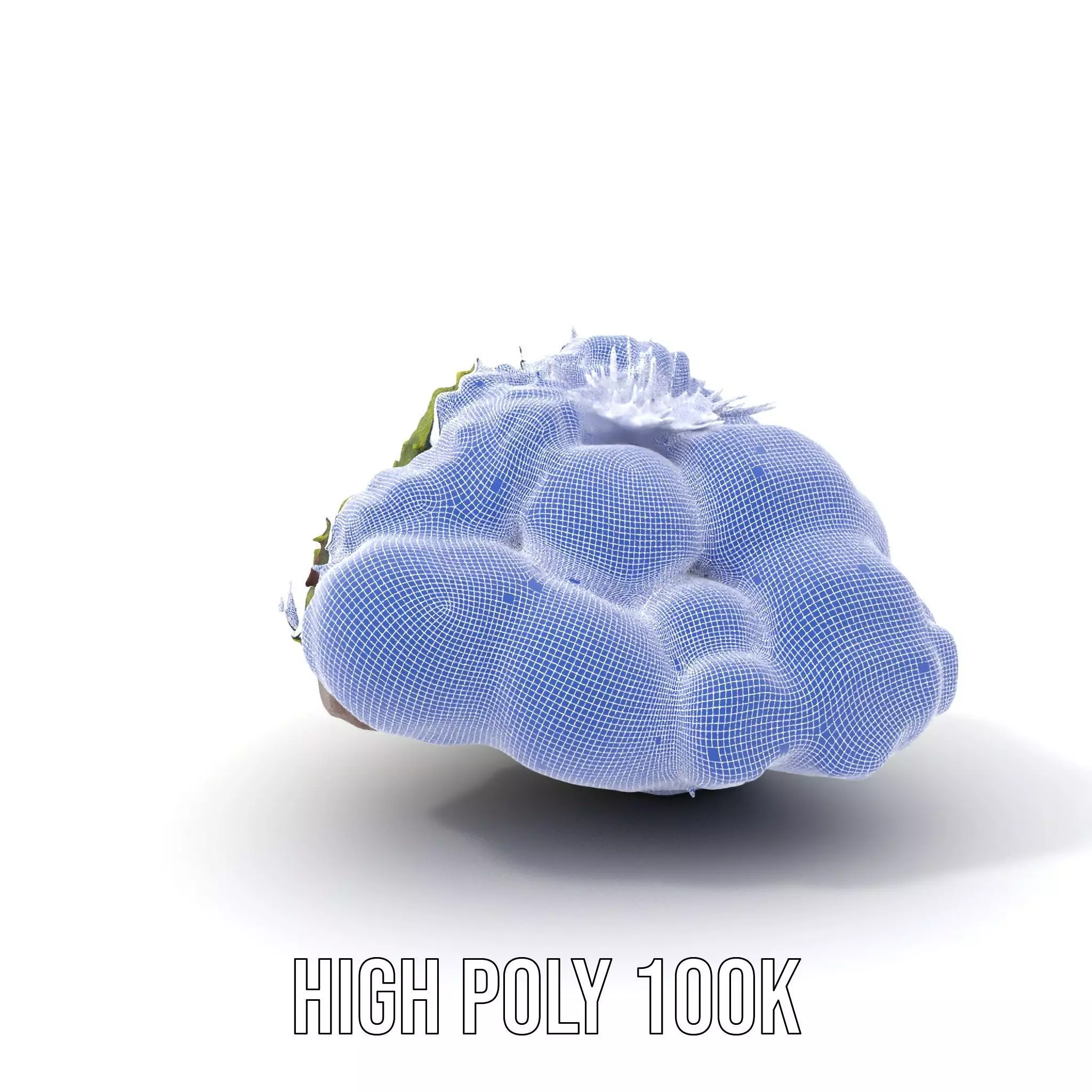 Lush Forest Moss model pack Low-poly 3D model_4