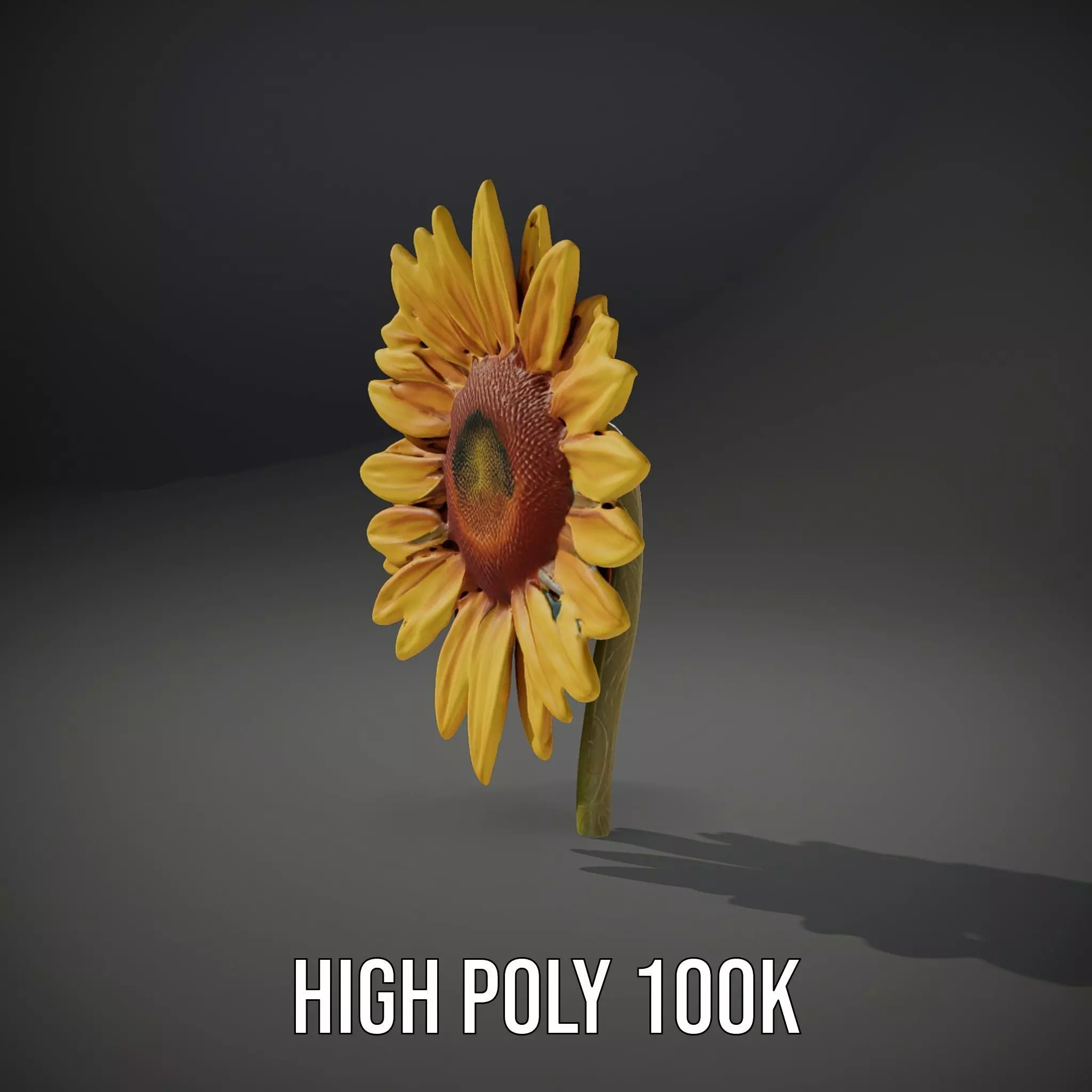 Radiant Sunflower model pack Low-poly 3D model_9