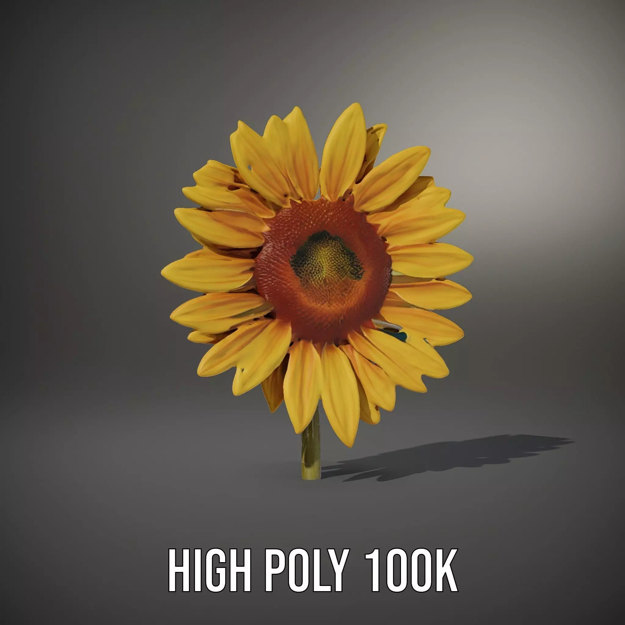 Radiant Sunflower model pack Low-poly 3D model_12