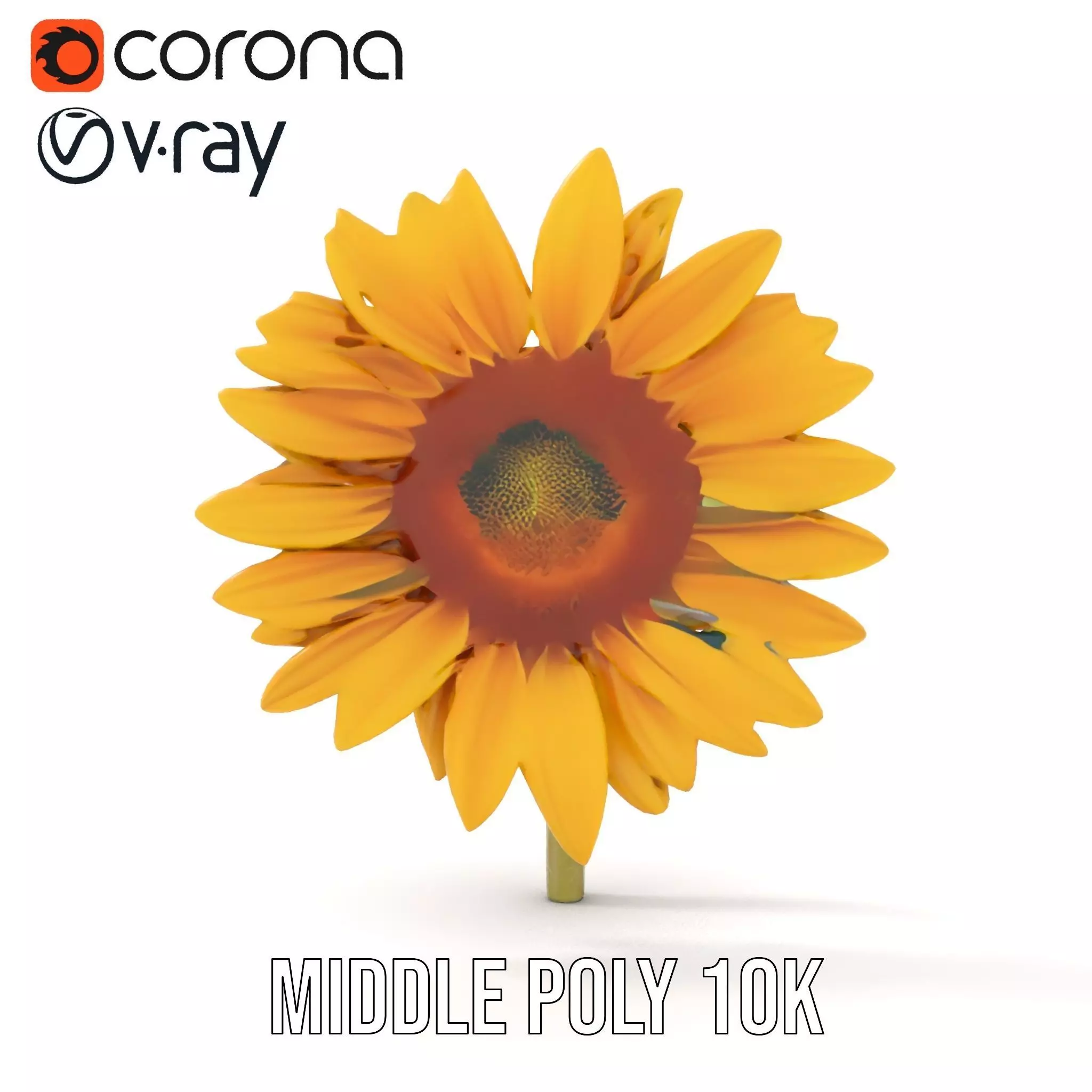 Radiant Sunflower model pack Low-poly 3D model_18