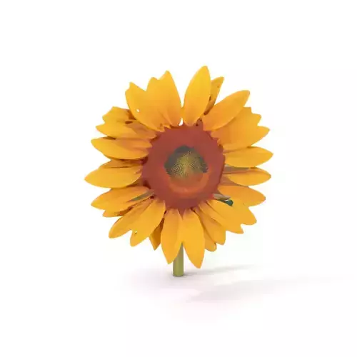 Radiant Sunflower model pack Low-poly 3D model
