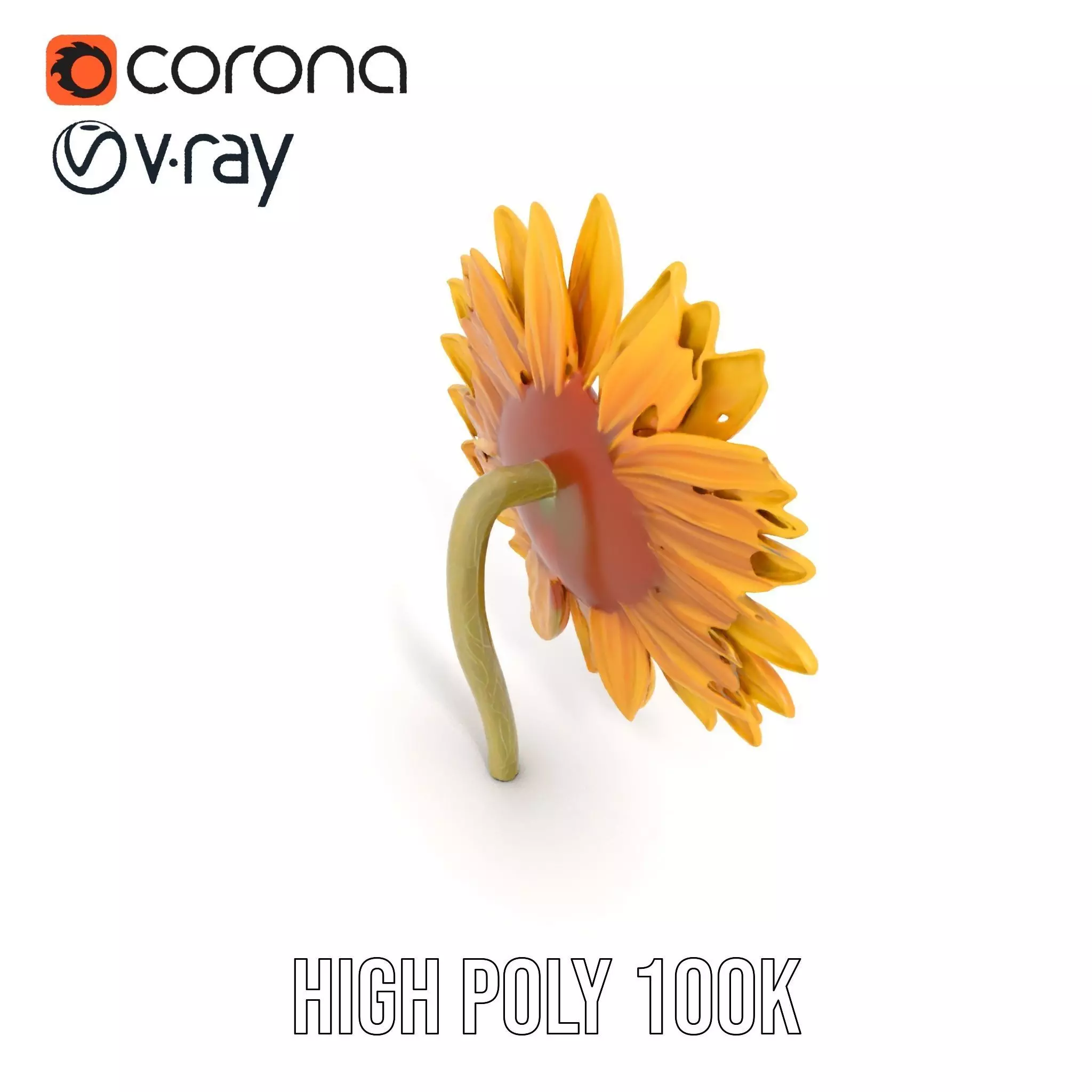 Radiant Sunflower model pack Low-poly 3D model_17