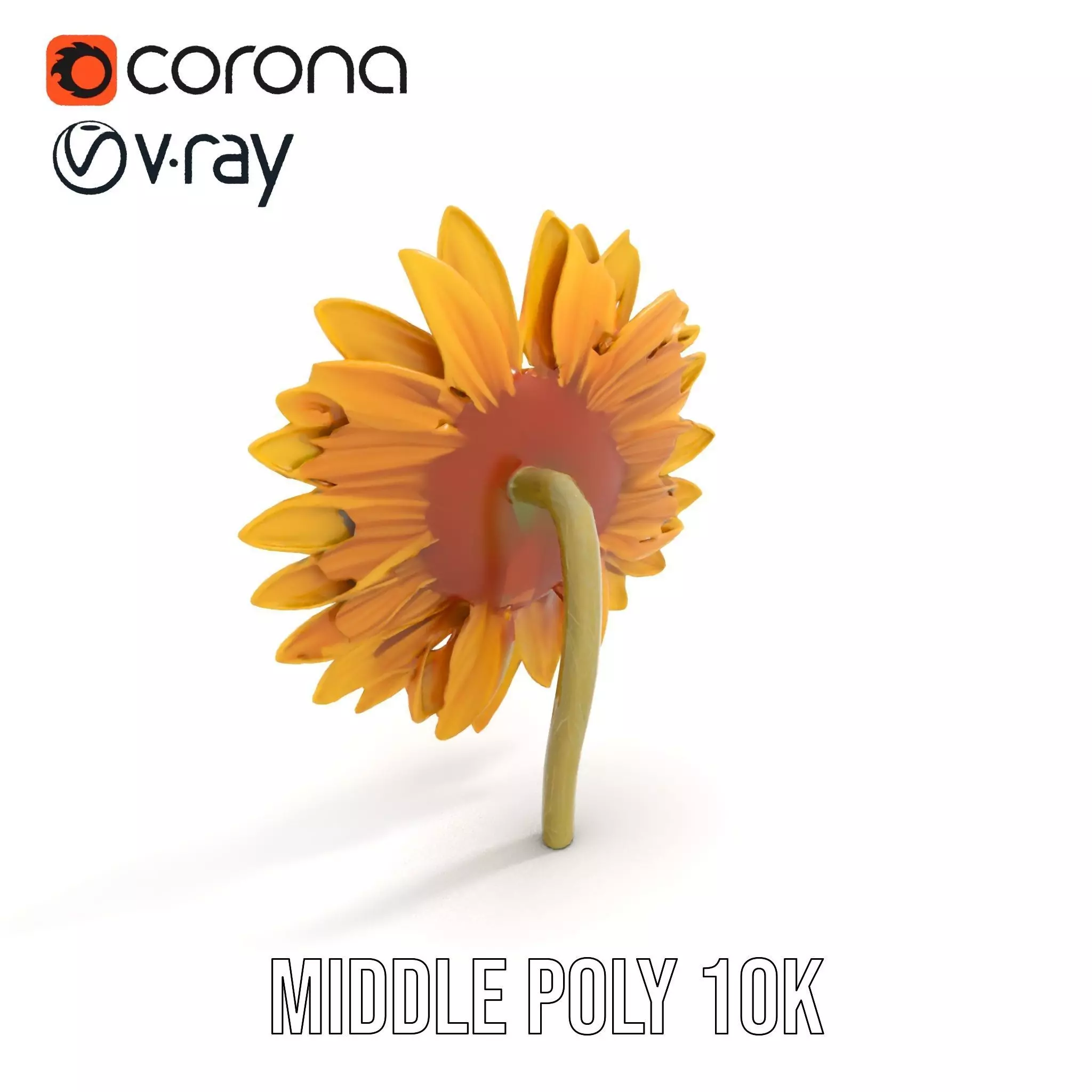 Radiant Sunflower model pack Low-poly 3D model_24