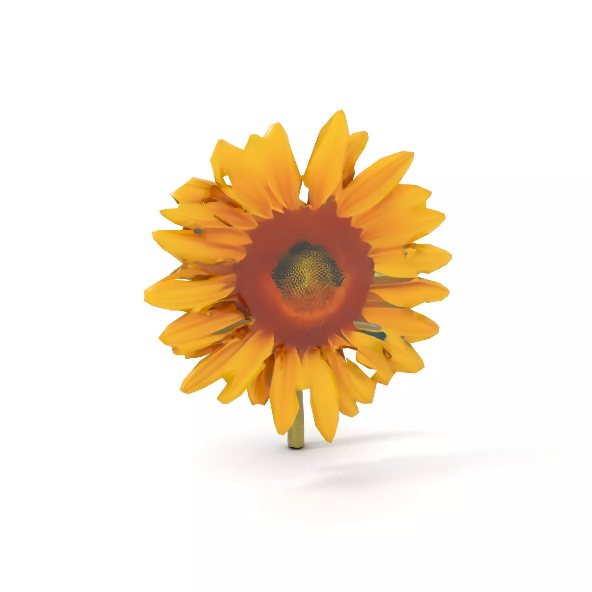 Radiant Sunflower model pack Low-poly 3D model_16