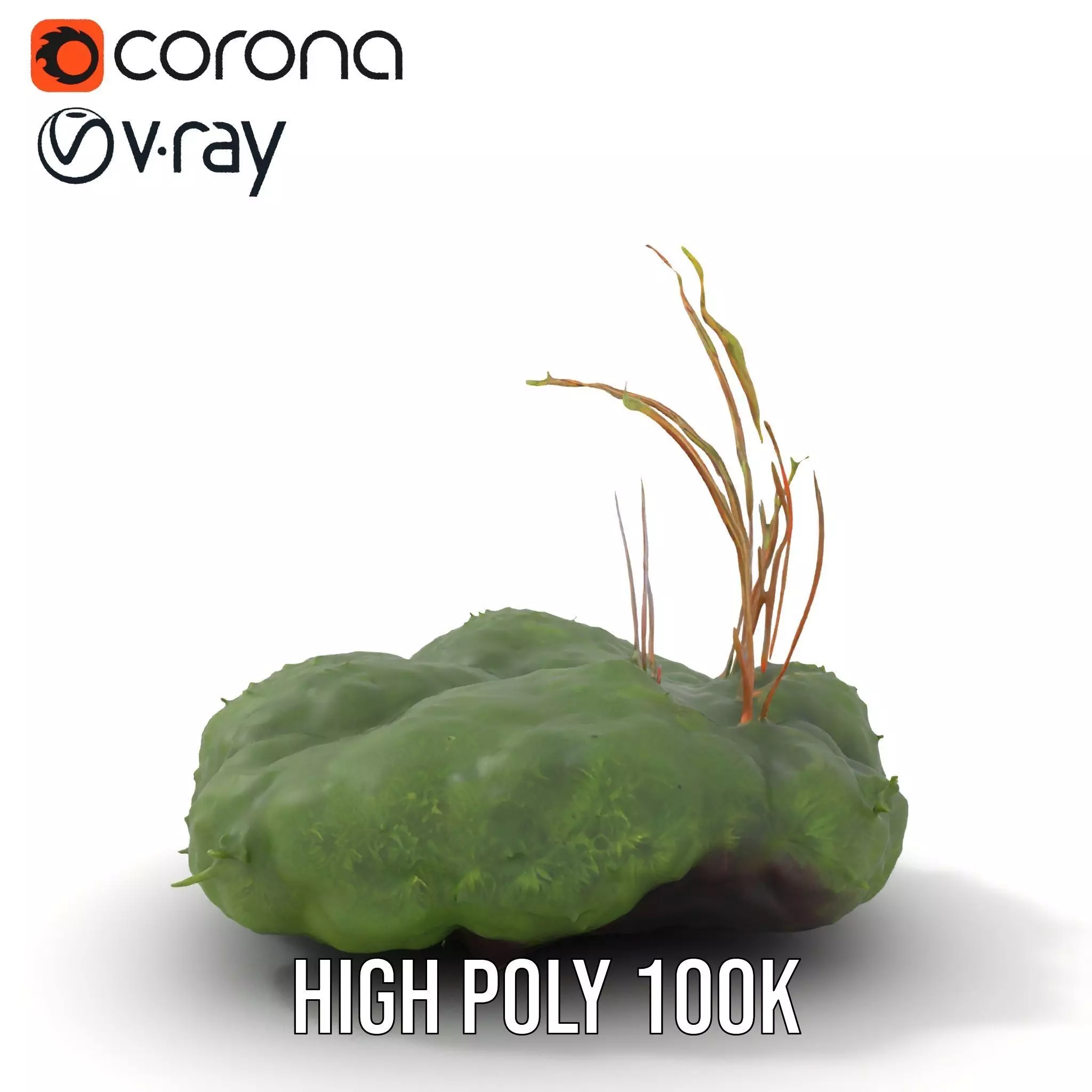 Lush Greenery Arrangement model pack Low-poly 3D model_15