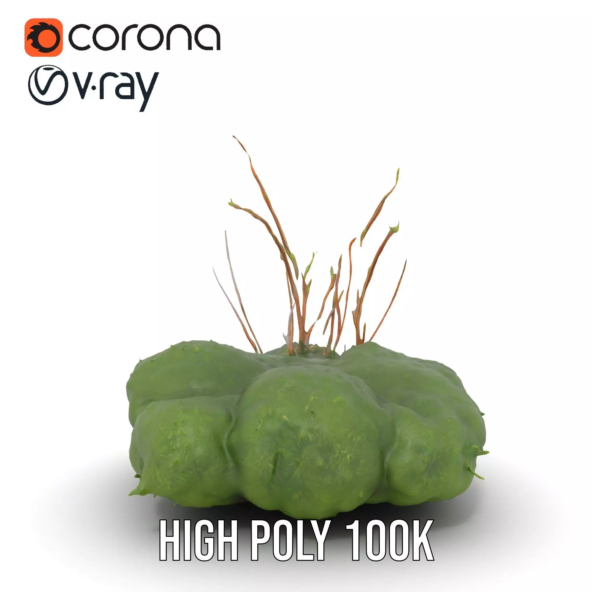 Lush Greenery Arrangement model pack Low-poly 3D model_21