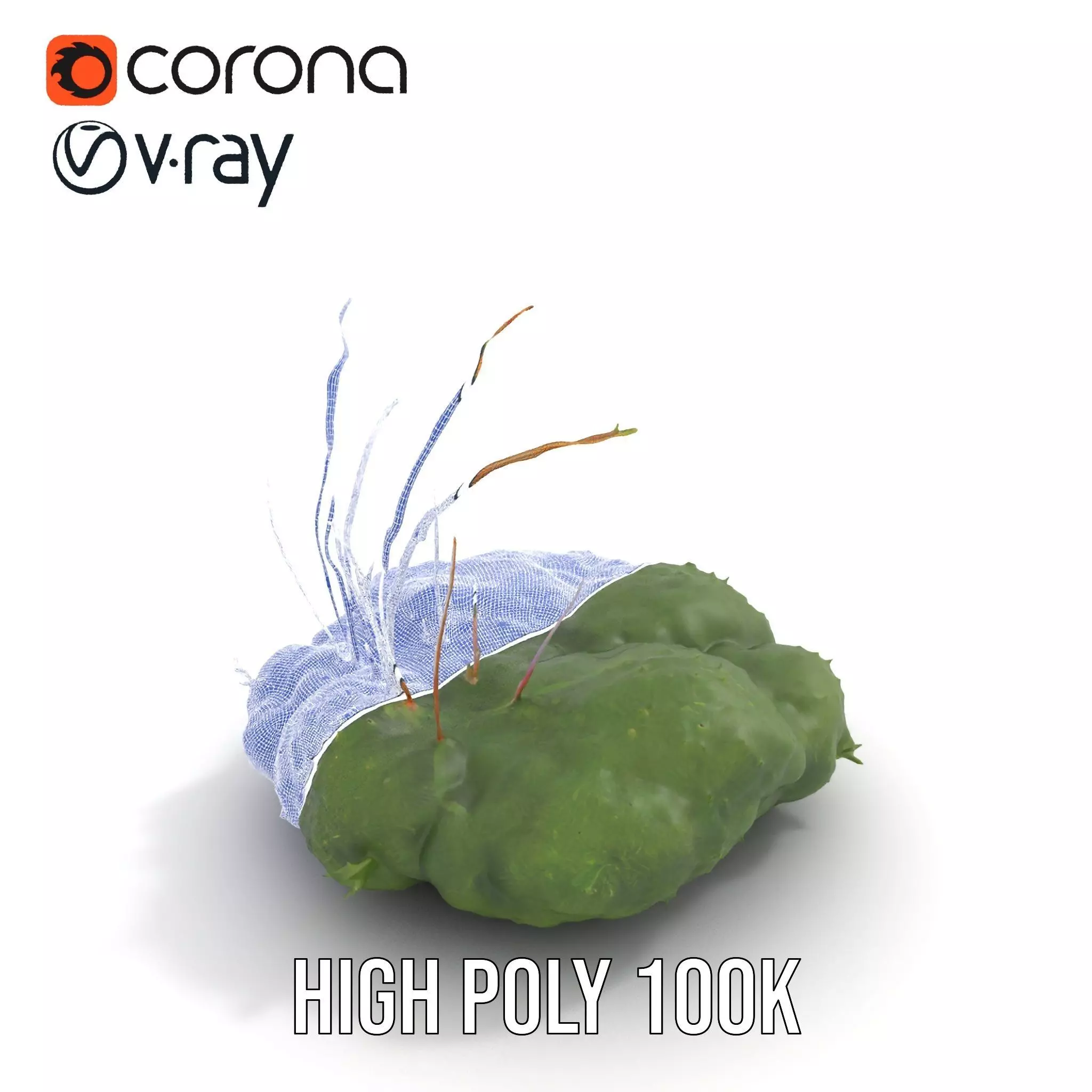 Lush Greenery Arrangement model pack Low-poly 3D model_32