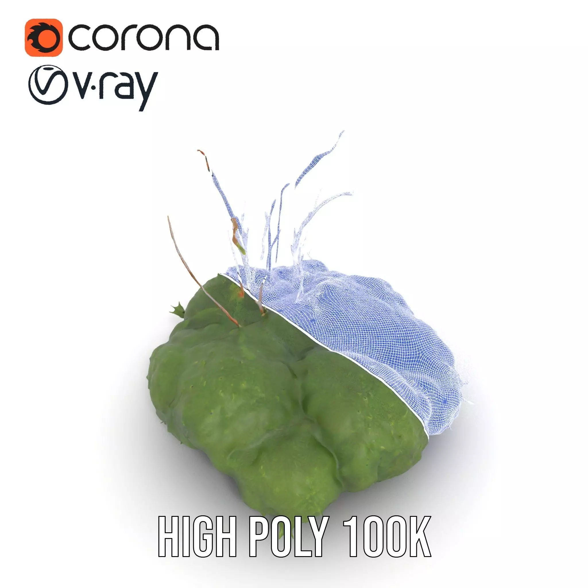 Lush Greenery Arrangement model pack Low-poly 3D model_34