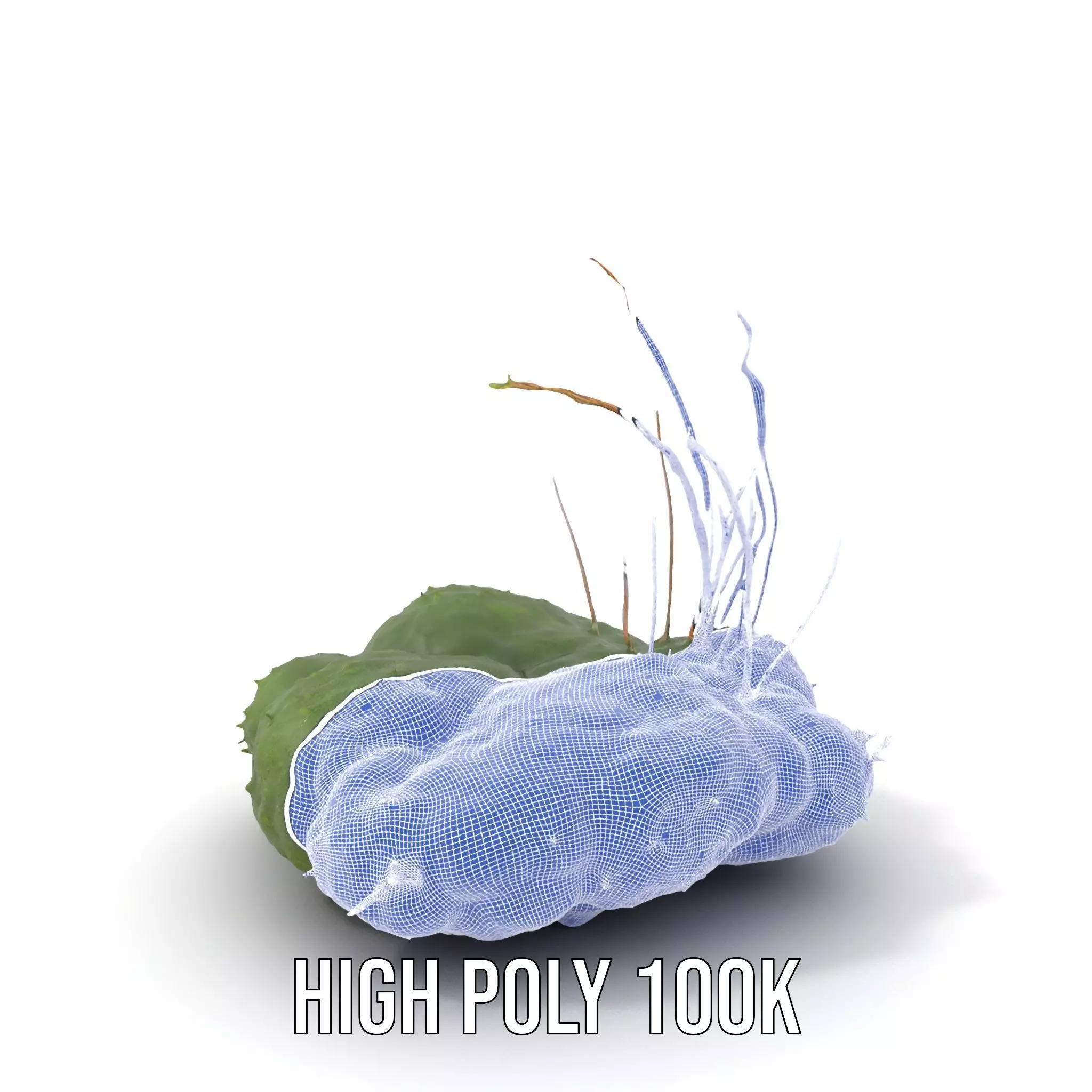 Lush Greenery Arrangement model pack Low-poly 3D model_4