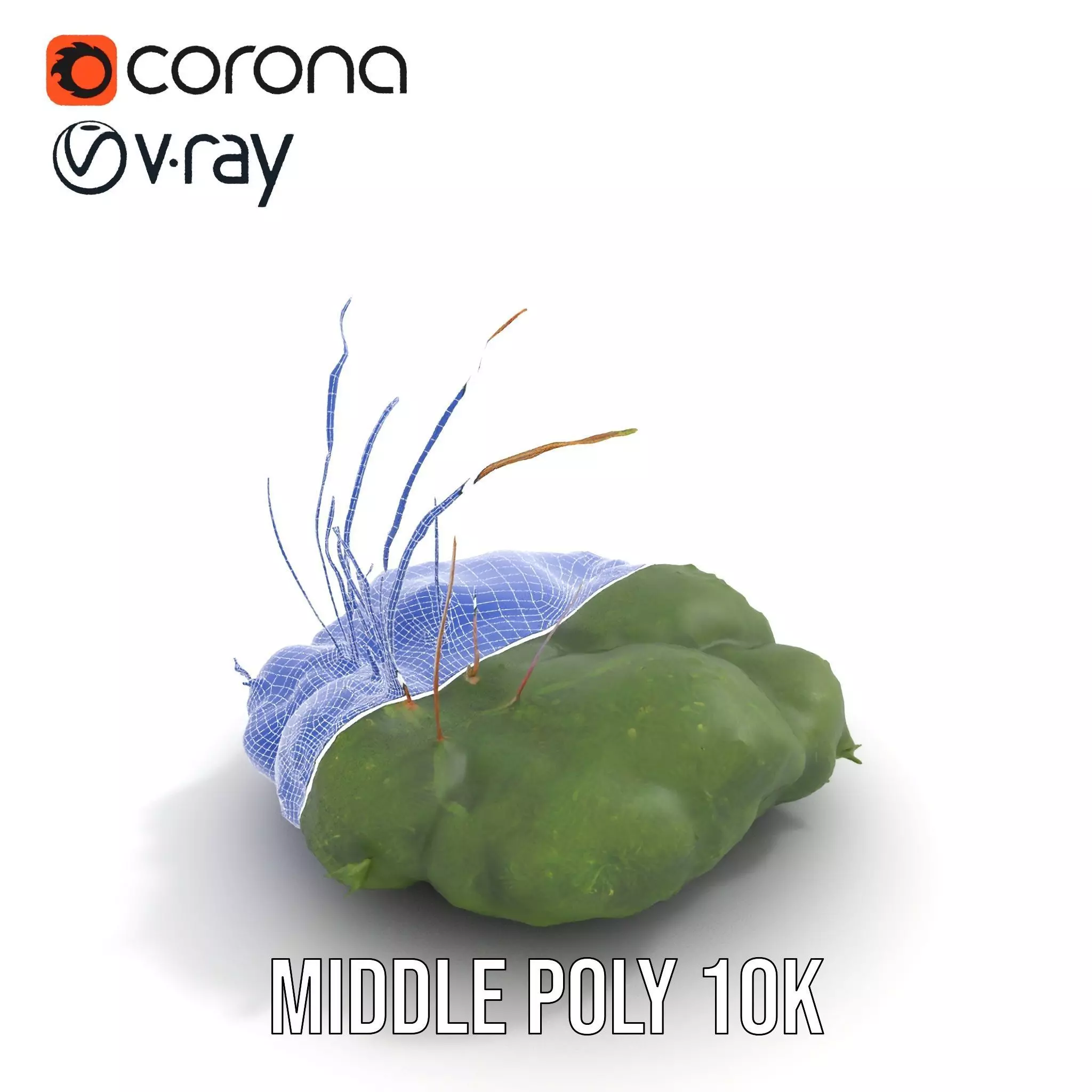 Lush Greenery Arrangement model pack Low-poly 3D model_13