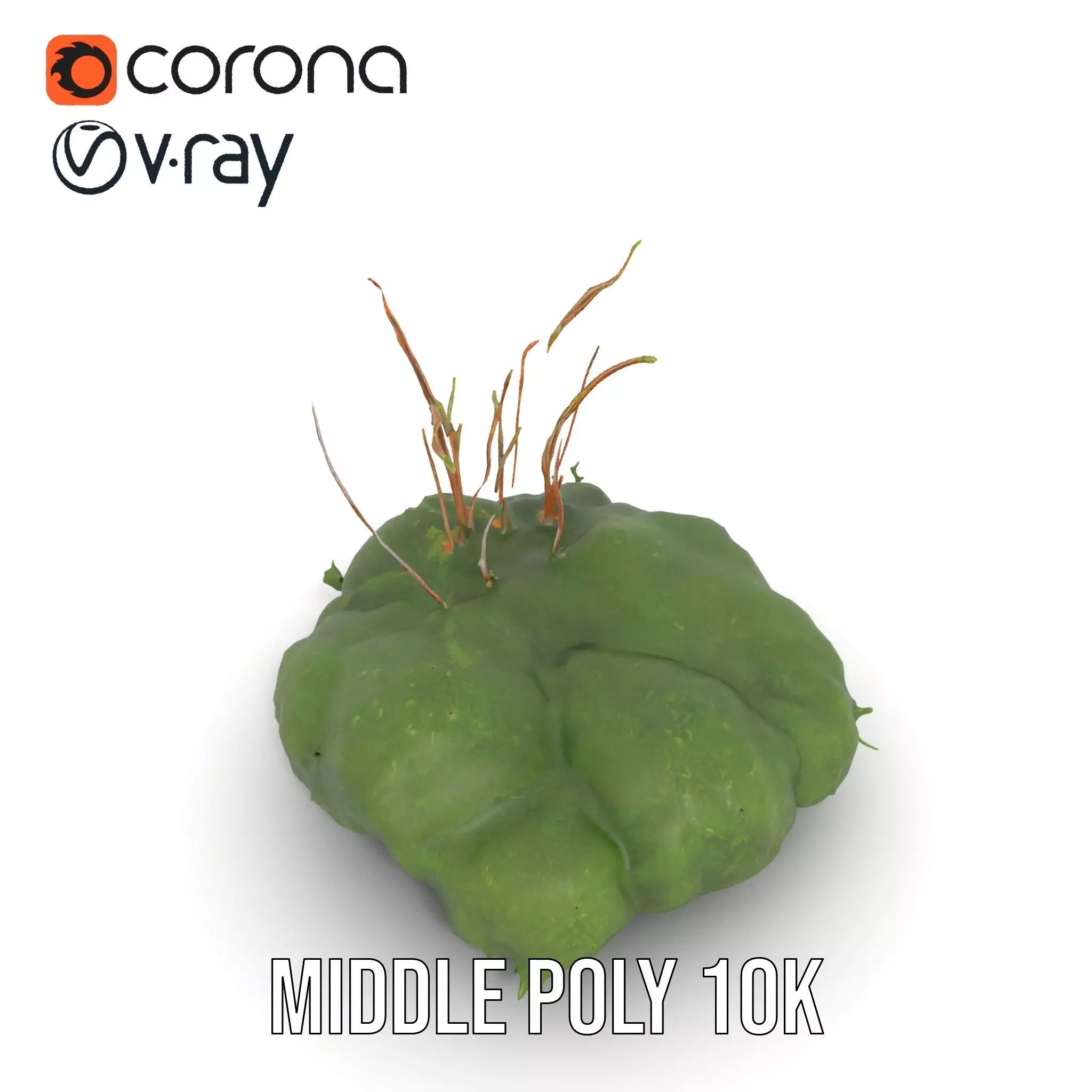 Lush Greenery Arrangement model pack Low-poly 3D model_25