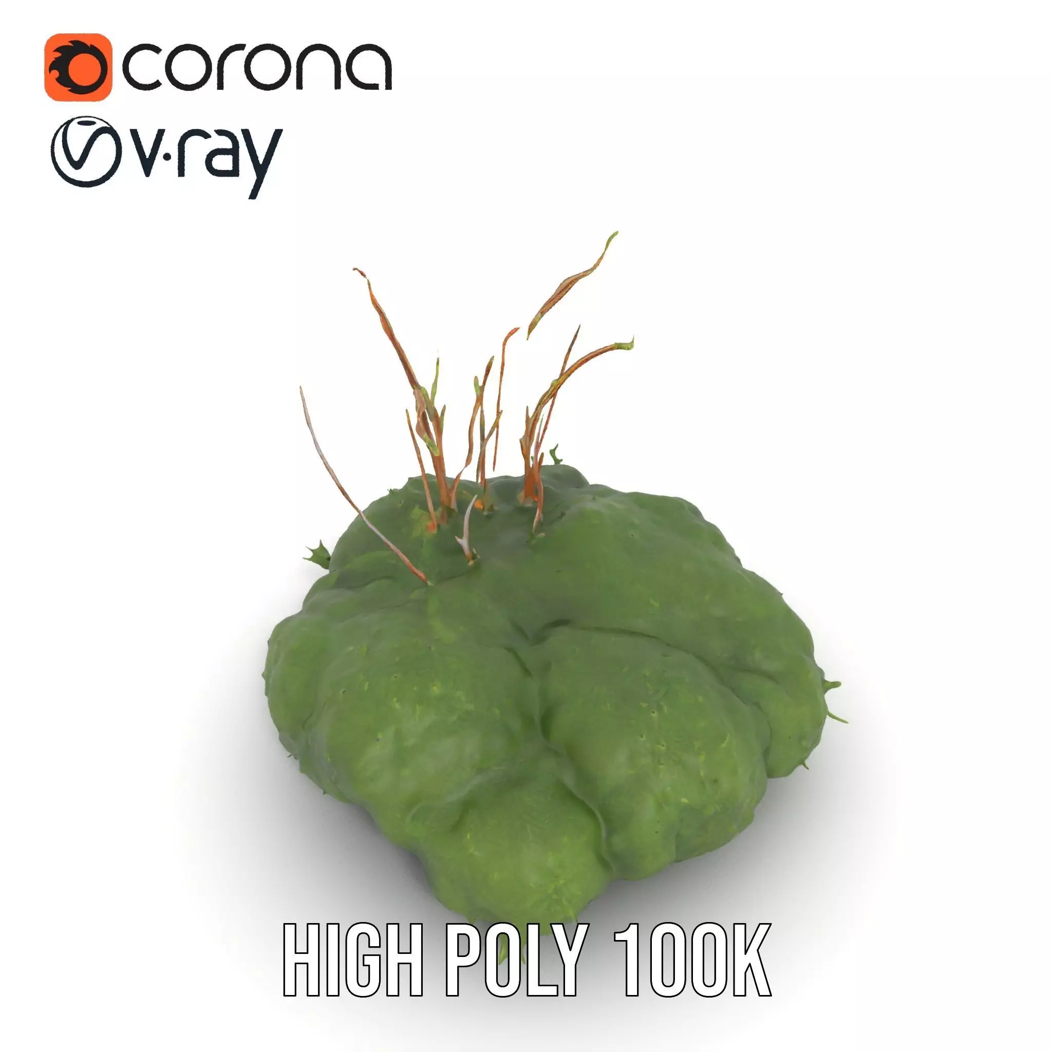 Lush Greenery Arrangement model pack Low-poly 3D model_24