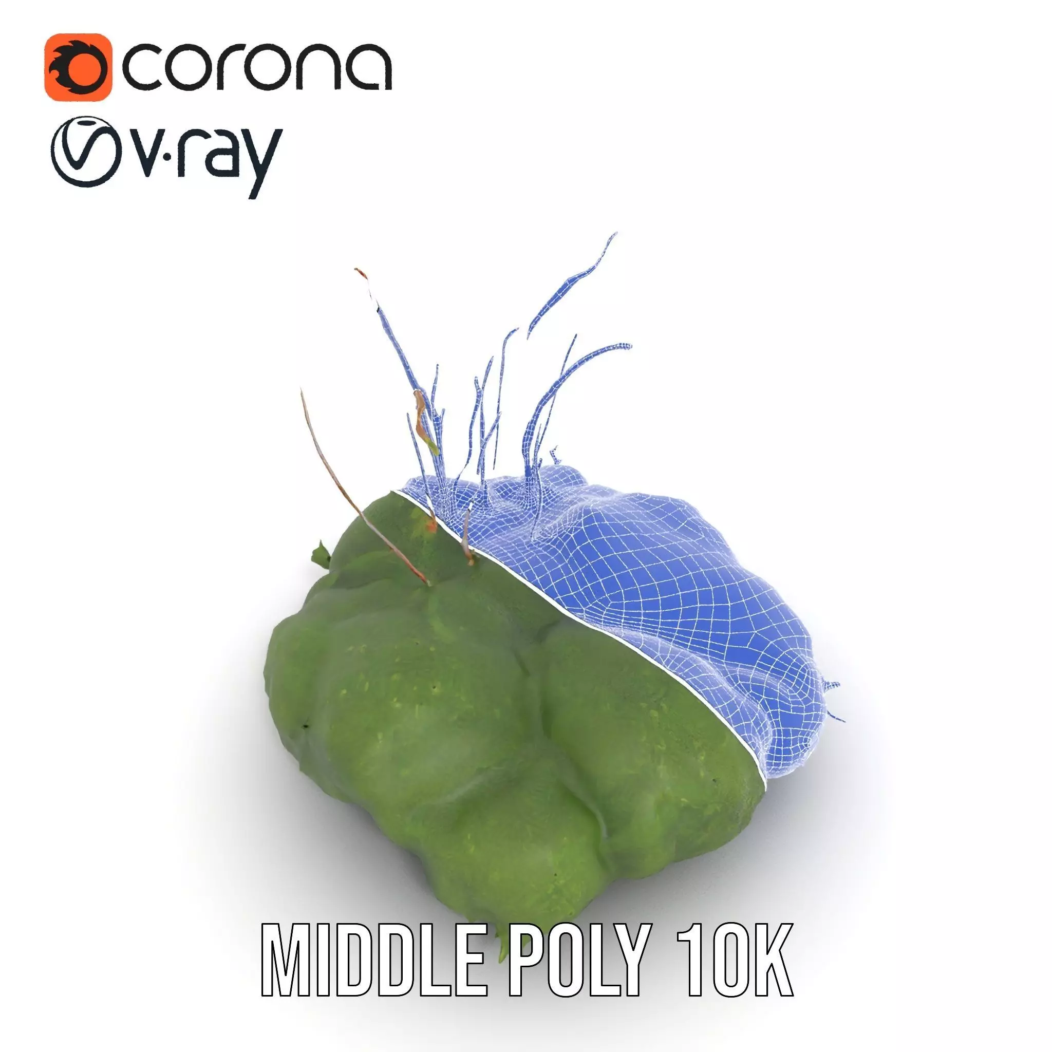 Lush Greenery Arrangement model pack Low-poly 3D model_22