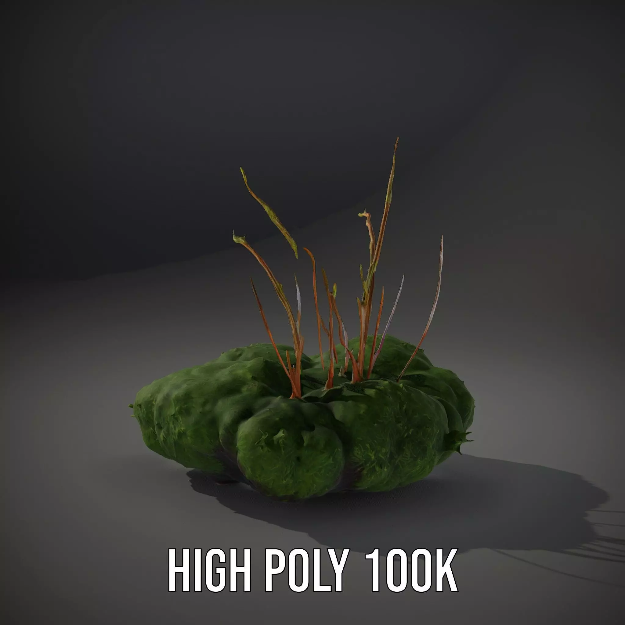 Lush Greenery Arrangement model pack Low-poly 3D model_10