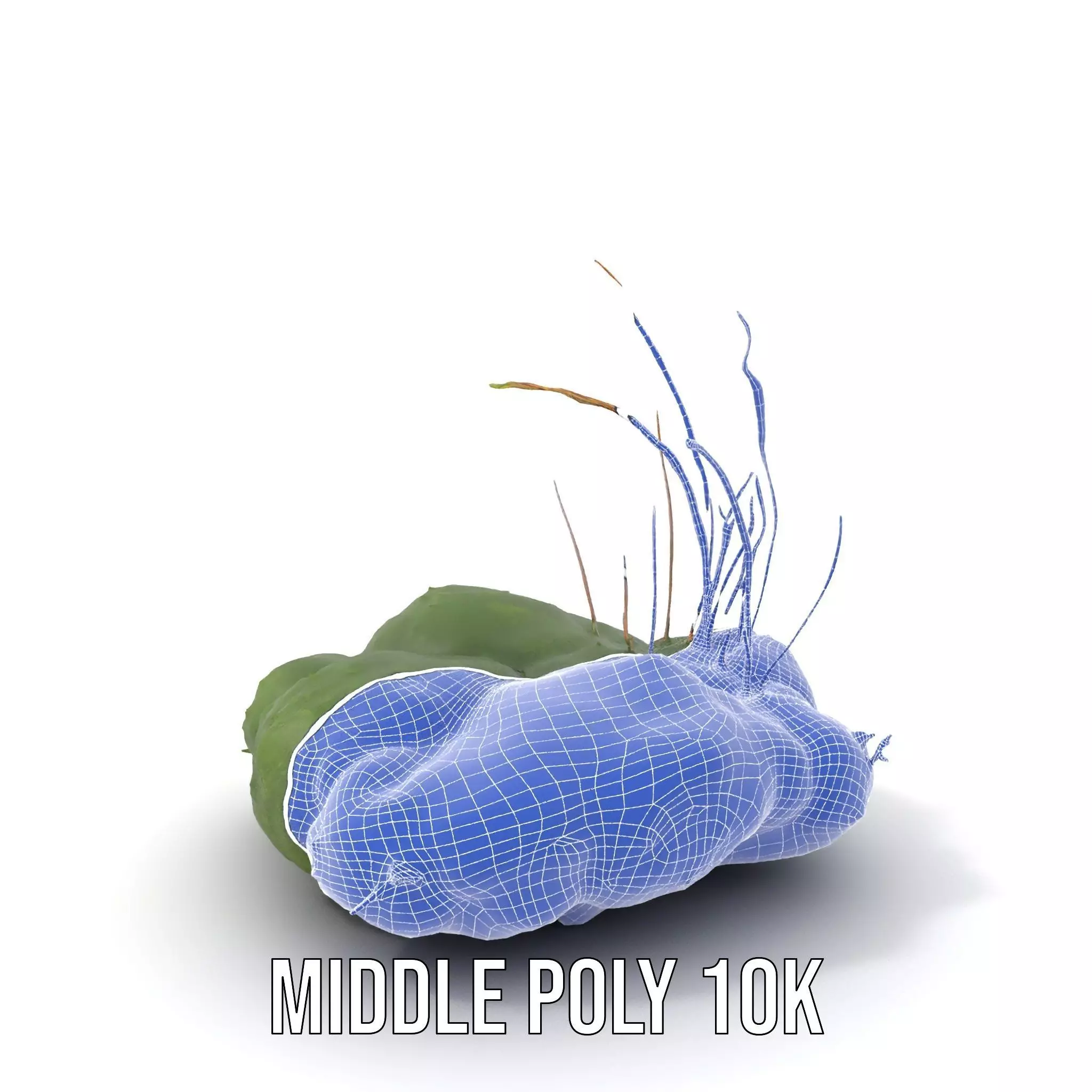 Lush Greenery Arrangement model pack Low-poly 3D model_19