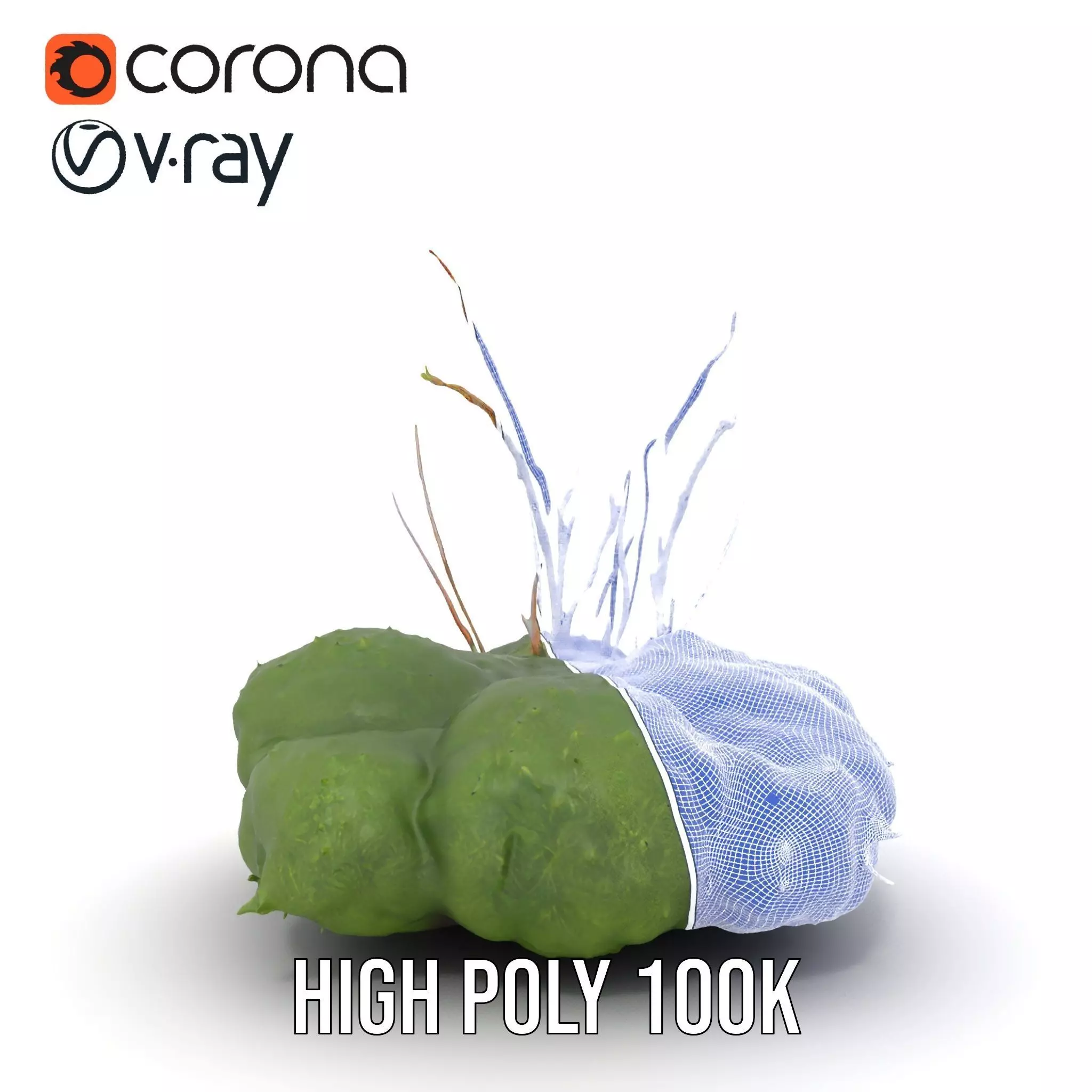 Lush Greenery Arrangement model pack Low-poly 3D model_31