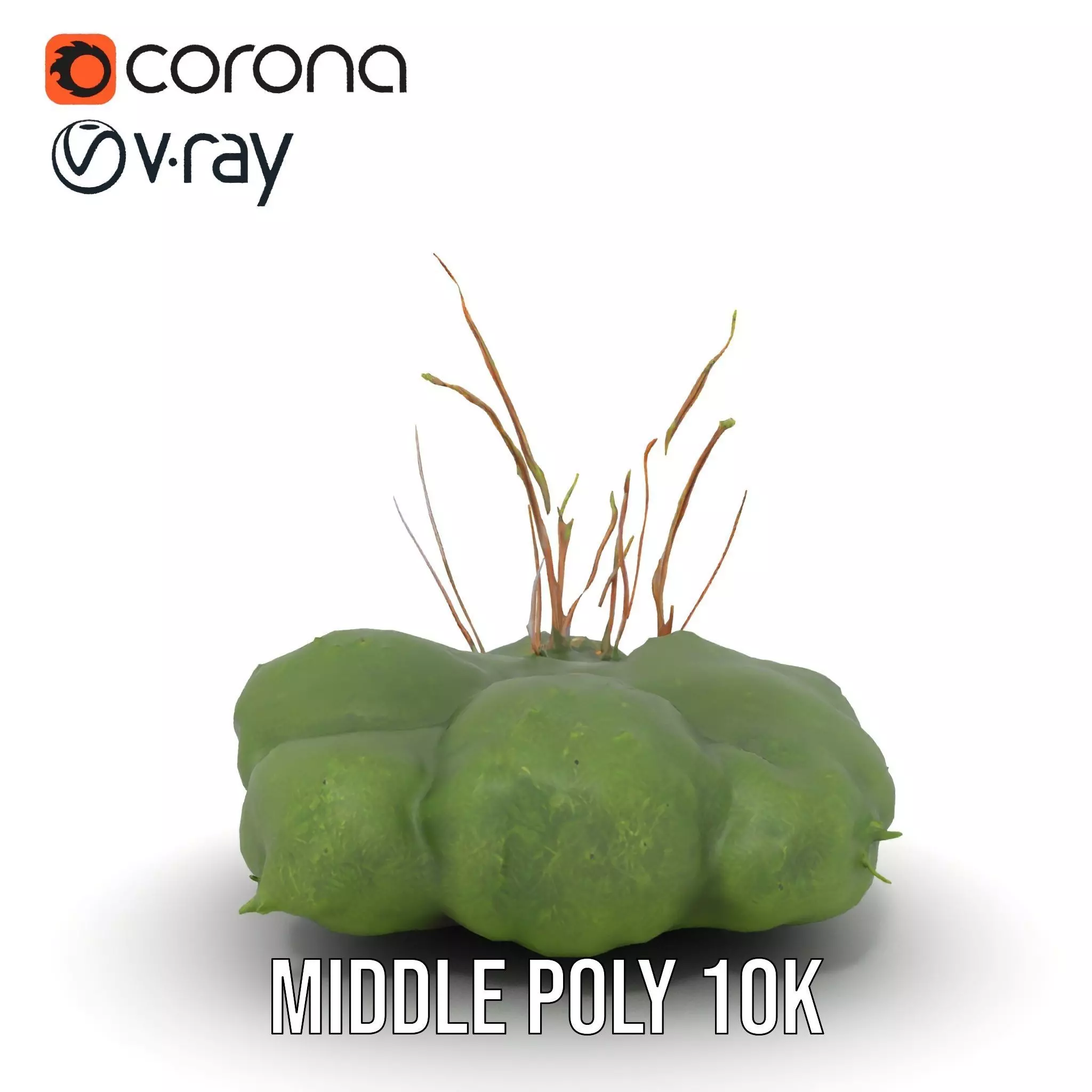 Lush Greenery Arrangement model pack Low-poly 3D model_16