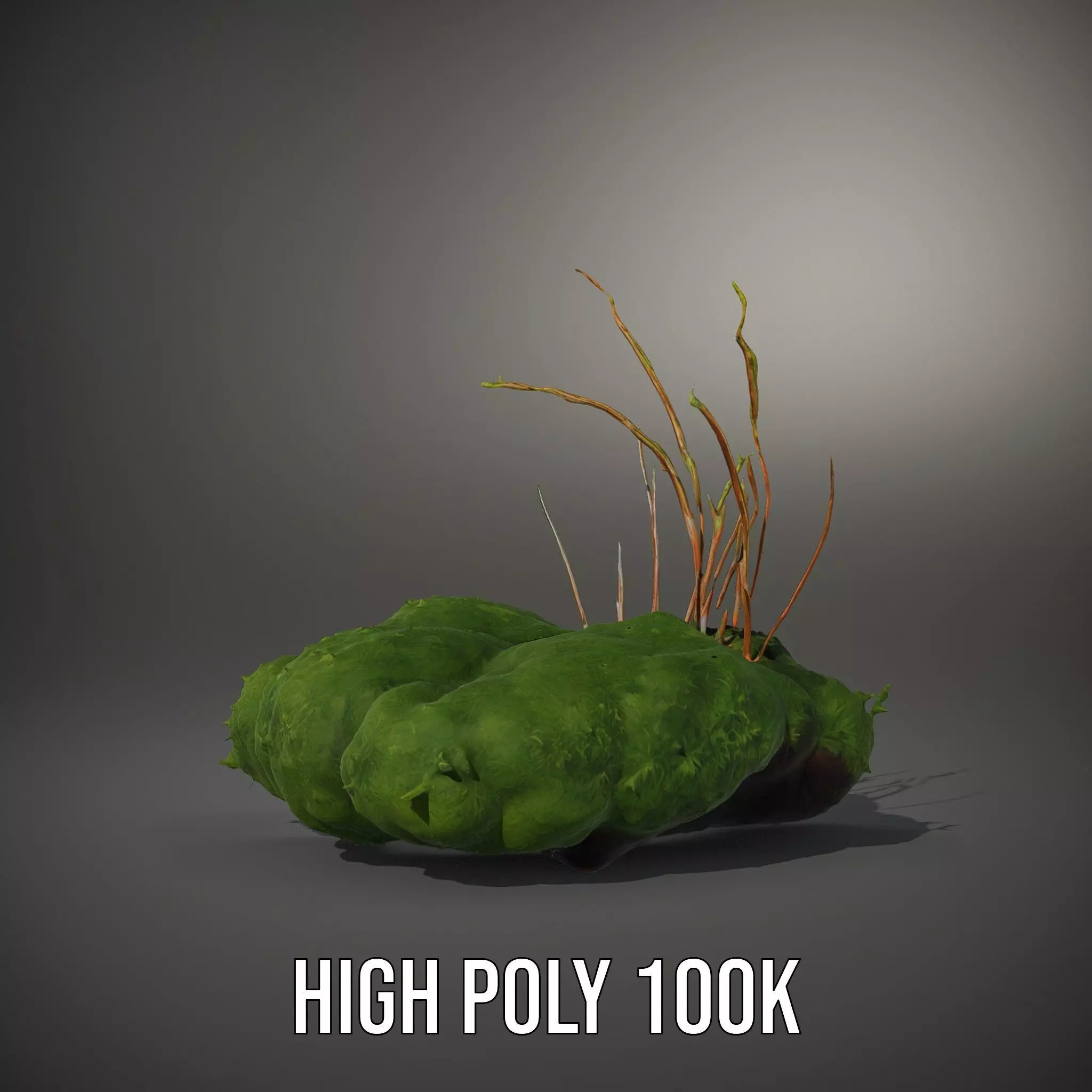 Lush Greenery Arrangement model pack Low-poly 3D model_8