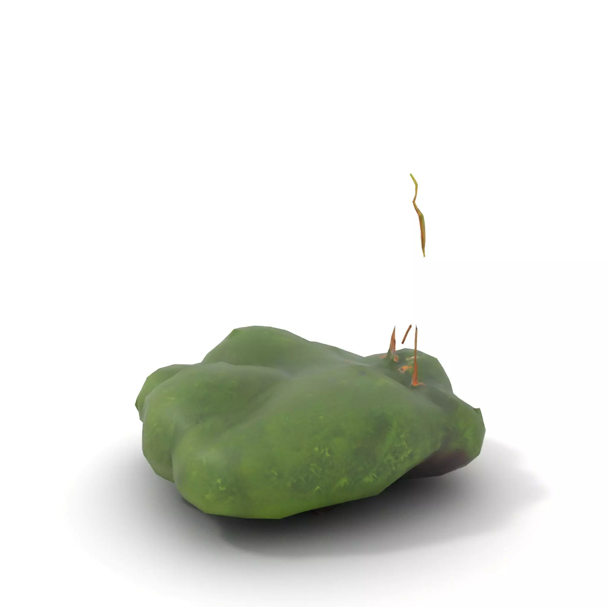 Lush Greenery Arrangement model pack Low-poly 3D model_14